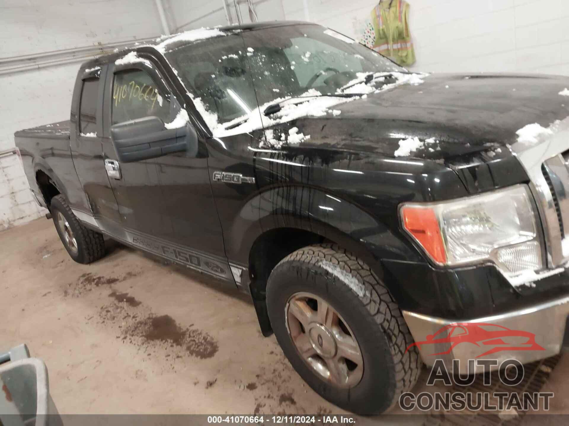 FORD F-150 2009 - 1FTRX14859FB02039