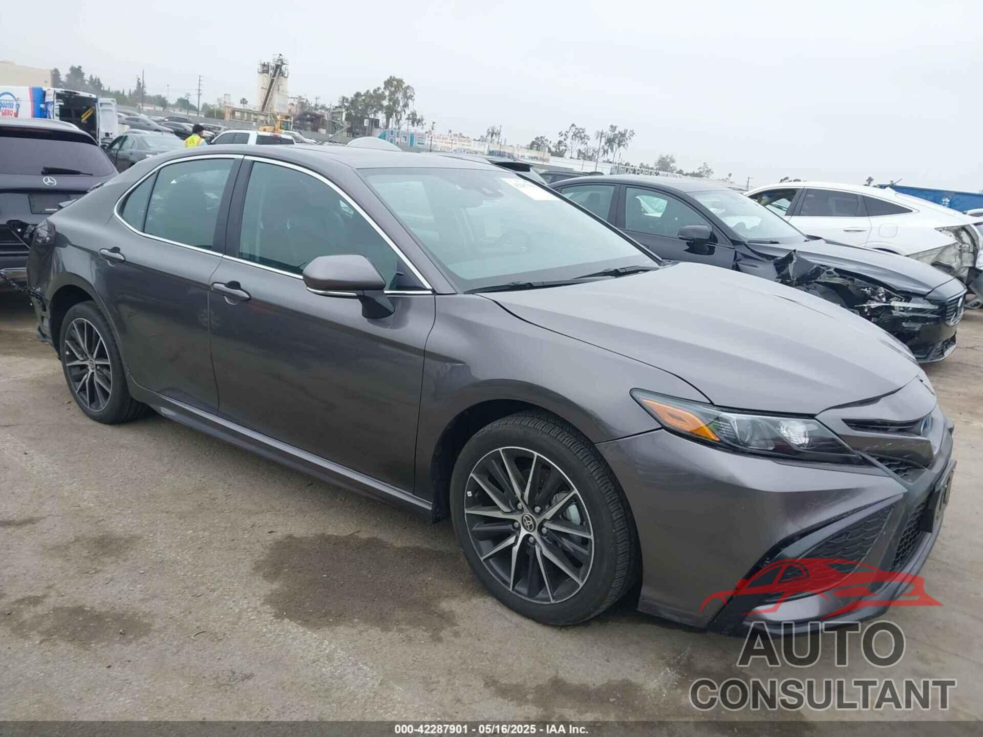 TOYOTA CAMRY HYBRID 2024 - 4T1S31AKXRU631135