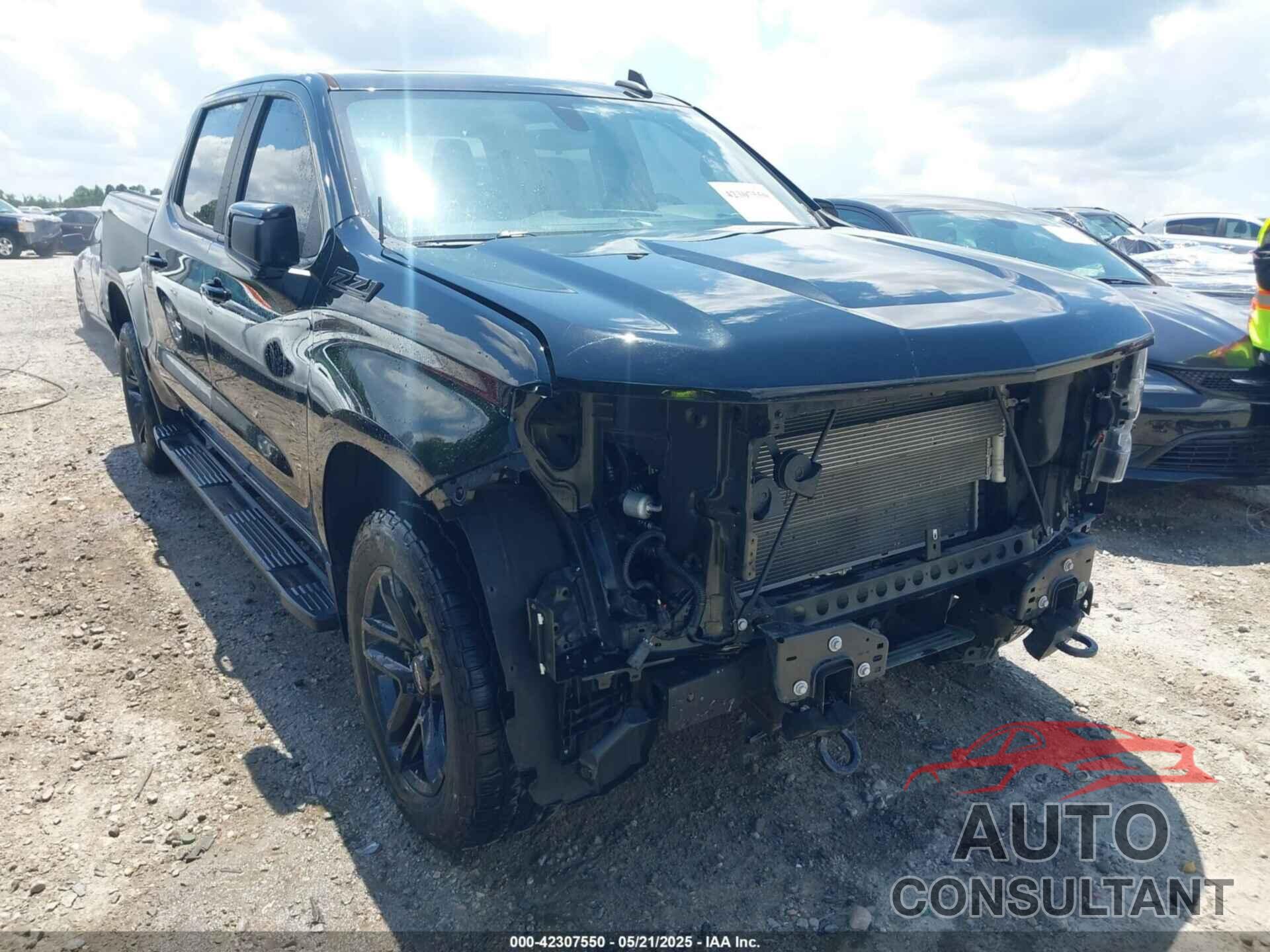 CHEVROLET SILVERADO 1500 2020 - 3GCUYEED7LG179012