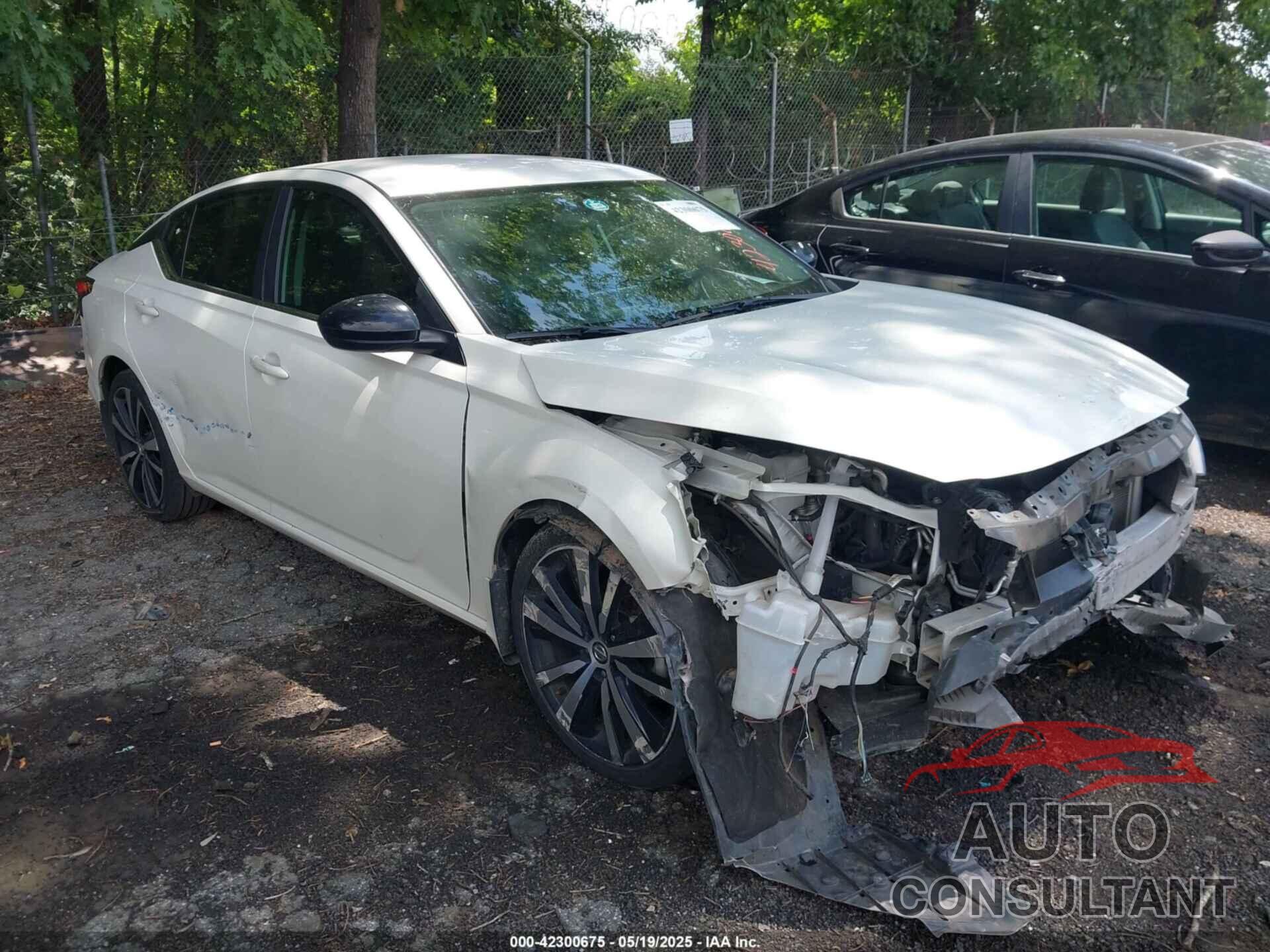 NISSAN ALTIMA 2019 - 1N4BL4CV6KC167825