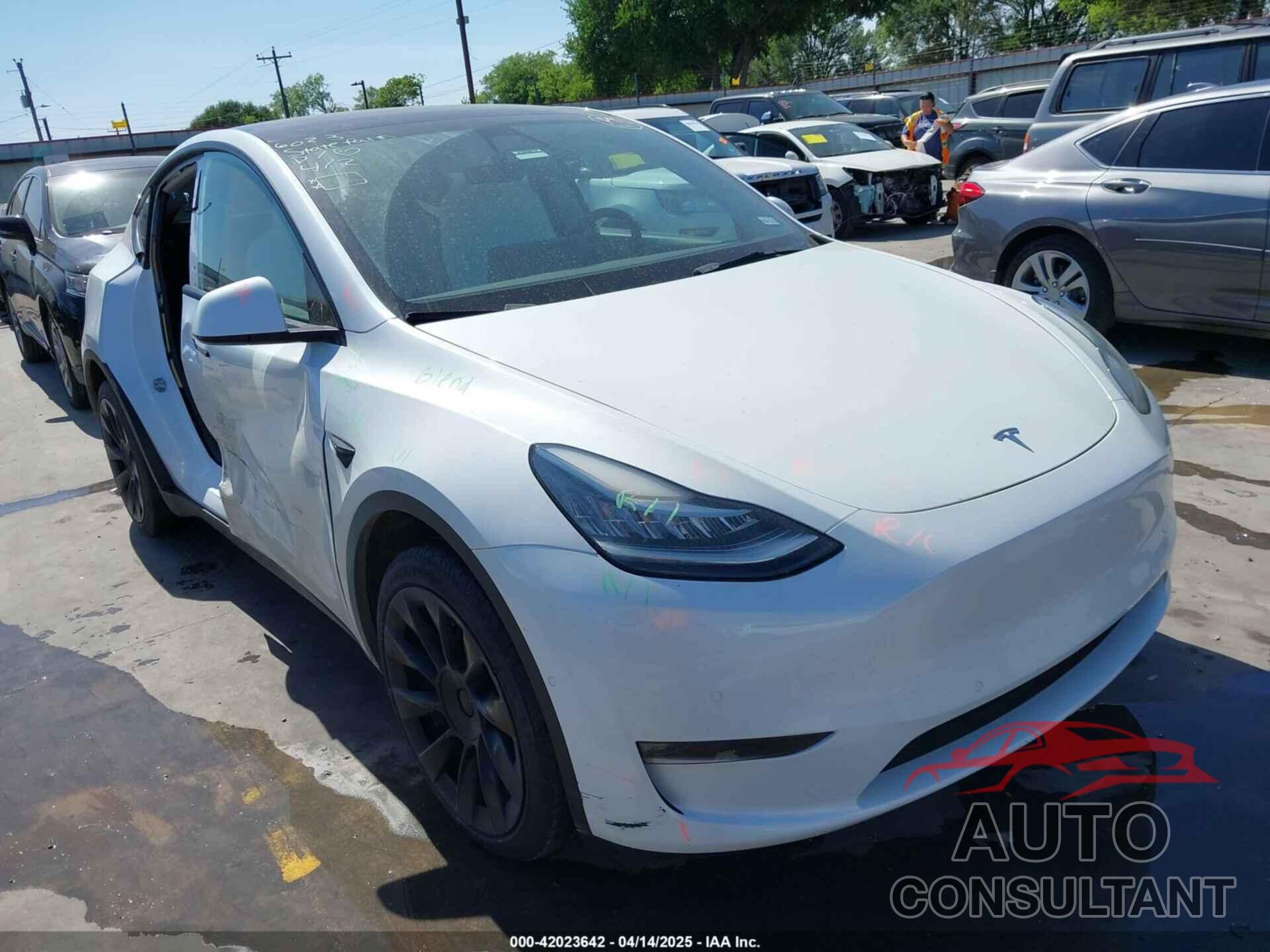TESLA MODEL Y 2022 - 7SAYGDEE2NF420882