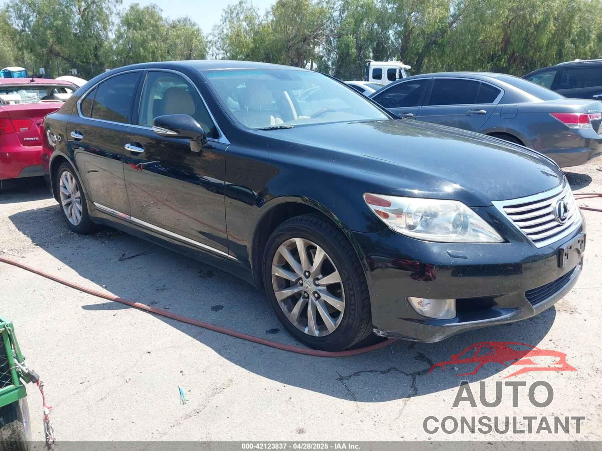LEXUS LS 460 2011 - JTHBL5EF0B5108262