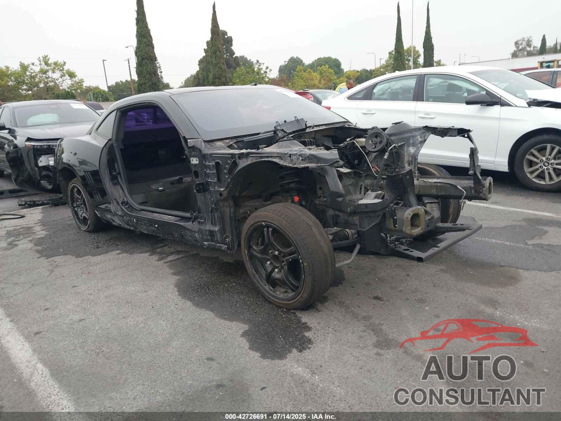 CHEVROLET CAMARO 2010 - 2G1FK1EJ7A9155981