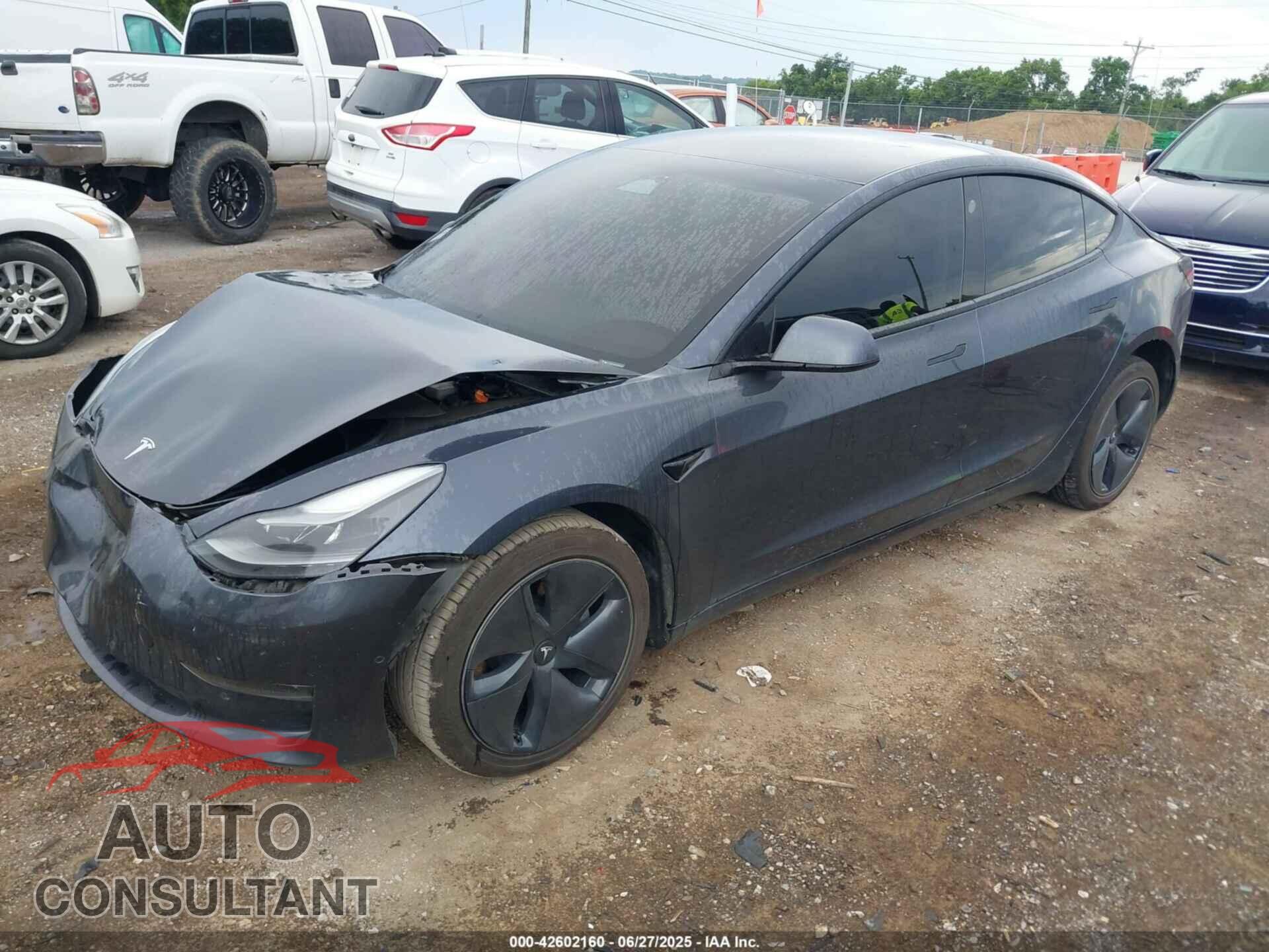 TESLA MODEL 3 2021 - 5YJ3E1EA3MF081976