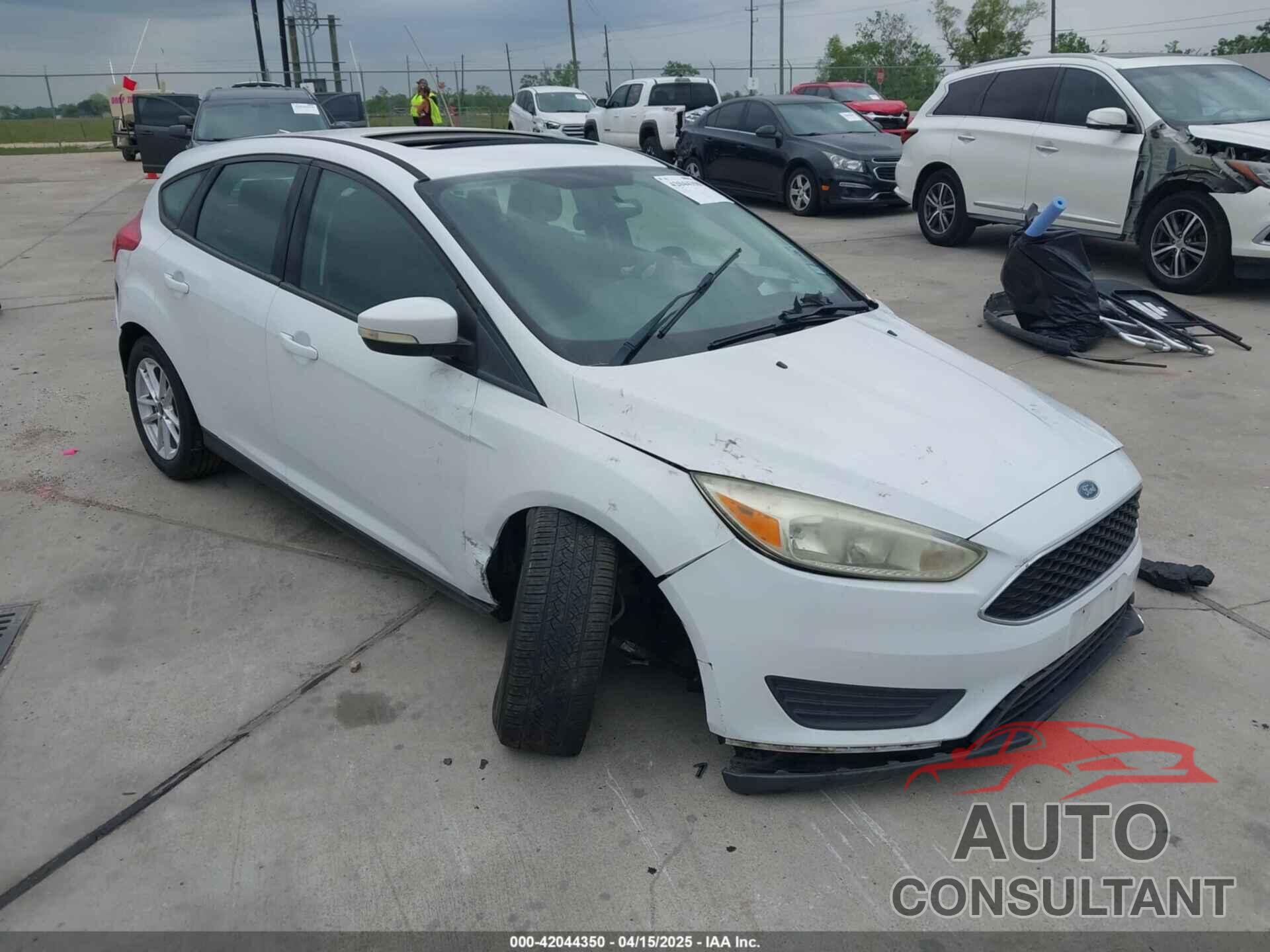 FORD FOCUS 2016 - 1FADP3K22GL294626