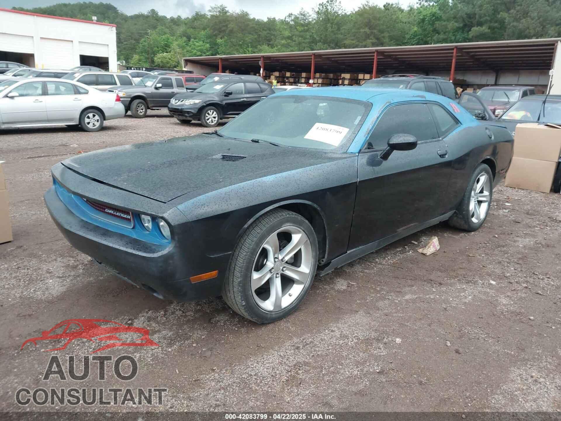DODGE CHALLENGER 2013 - 2C3CDYAG4DH704316