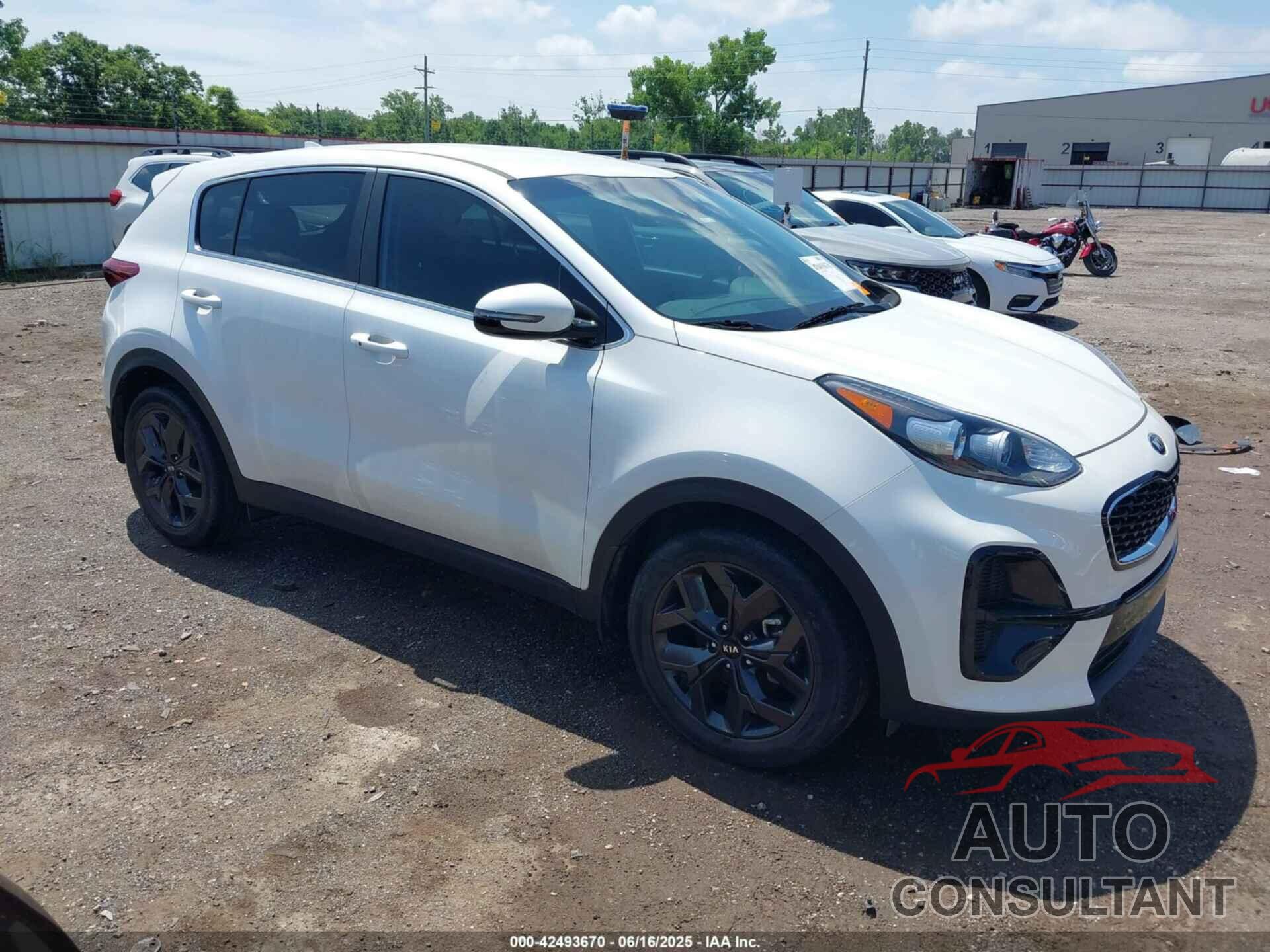 KIA SPORTAGE 2022 - KNDPM3AC5N7018764