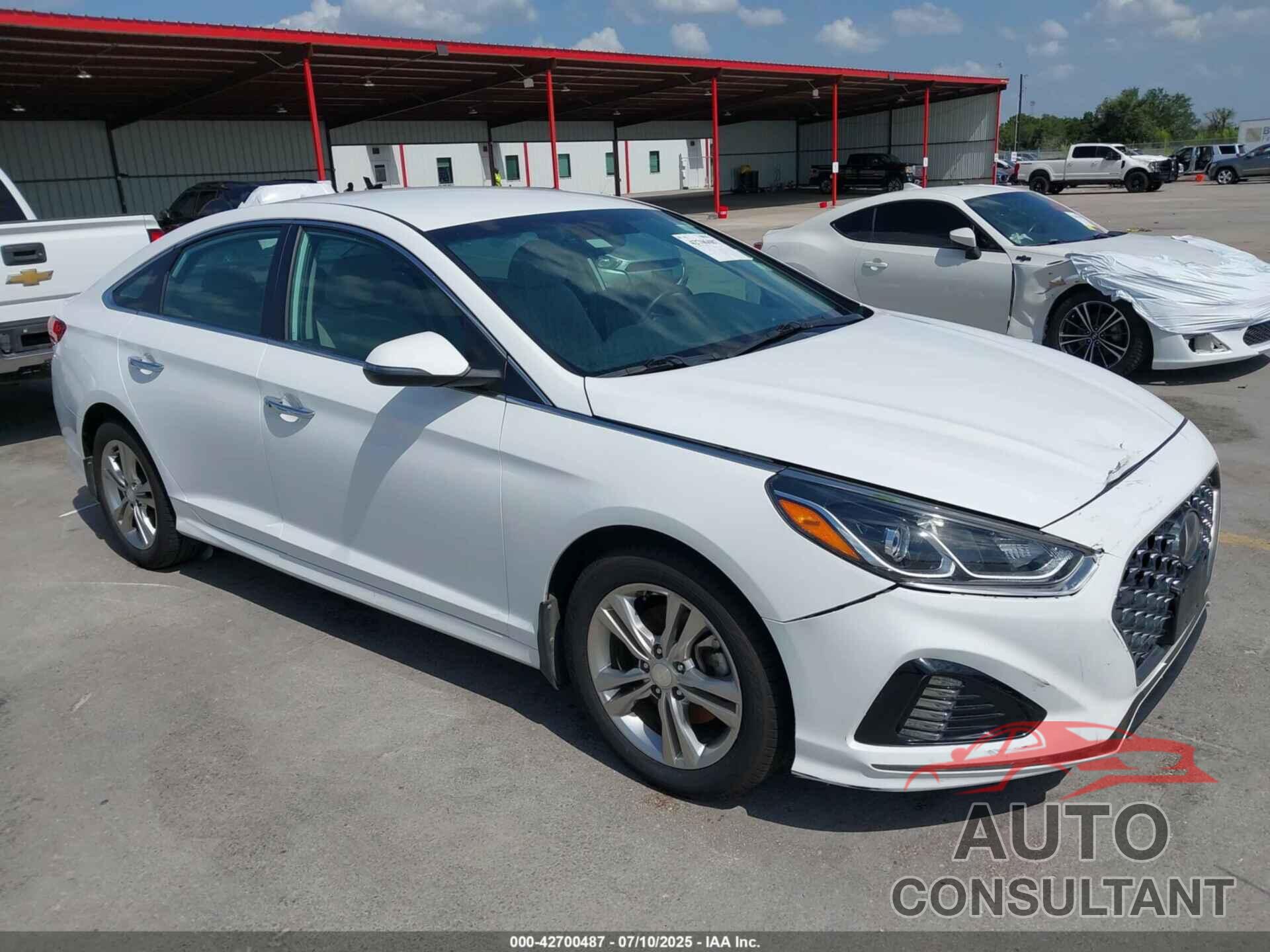 HYUNDAI SONATA 2019 - 5NPE34AF5KH739961
