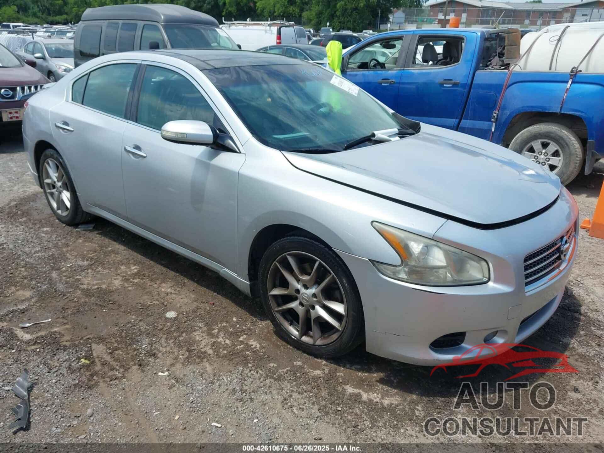 NISSAN MAXIMA 2010 - 1N4AA5AP1AC808065
