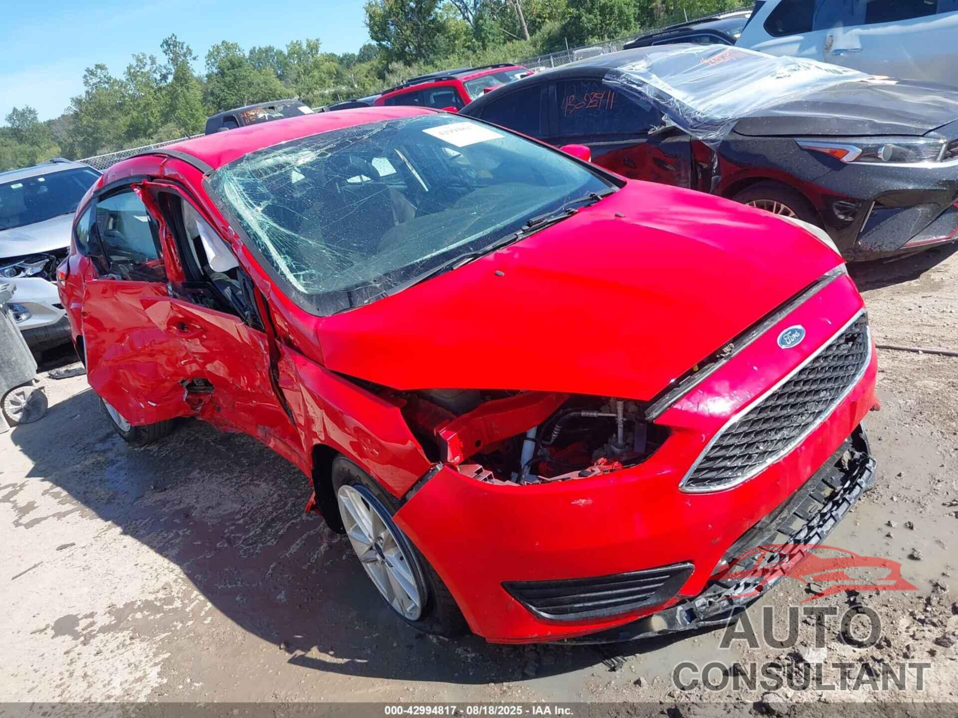 FORD FOCUS 2016 - 1FADP3K23GL353442