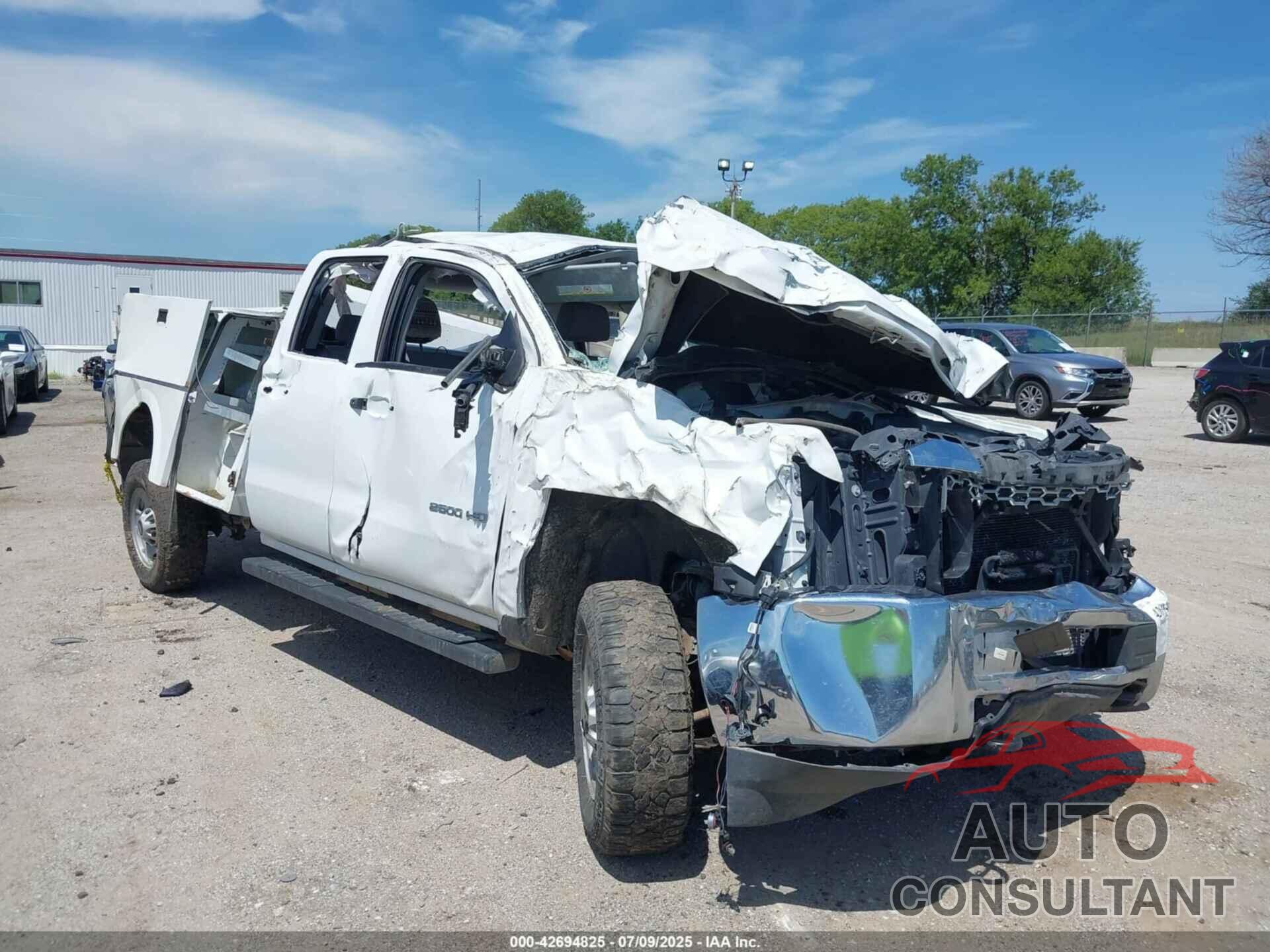CHEVROLET SILVERADO 2500HD 2019 - 2GC2CREG3K1206589