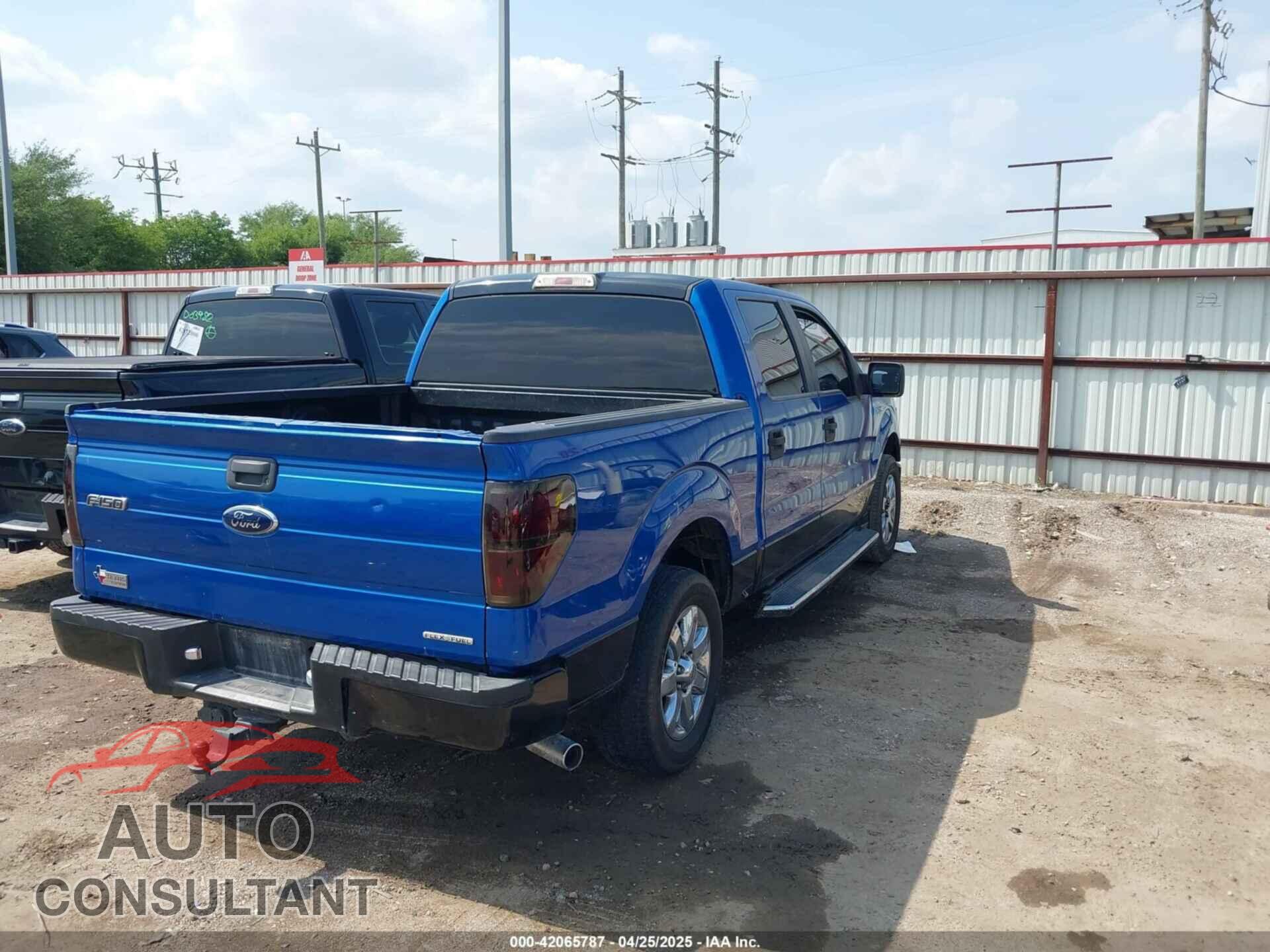 FORD F-150 2011 - 1FTEW1CM2BKD19982