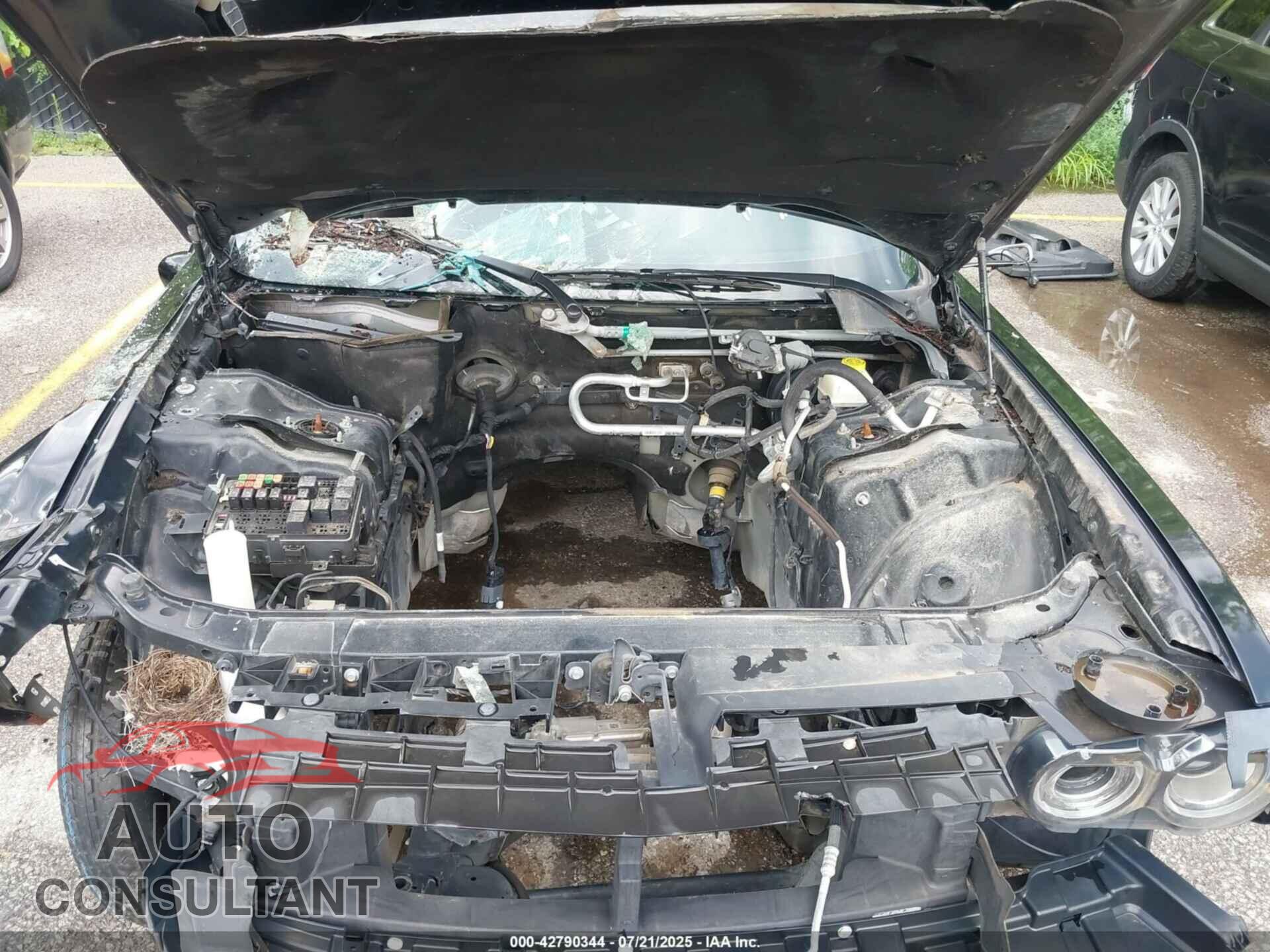DODGE CHALLENGER 2019 - 2C3CDZGGXKH655519