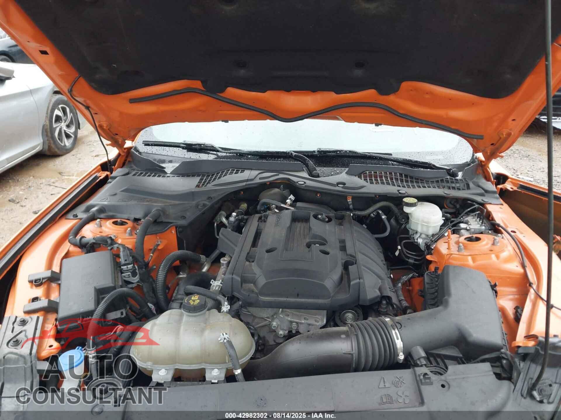 FORD MUSTANG 2020 - 1FA6P8TH0L5159376