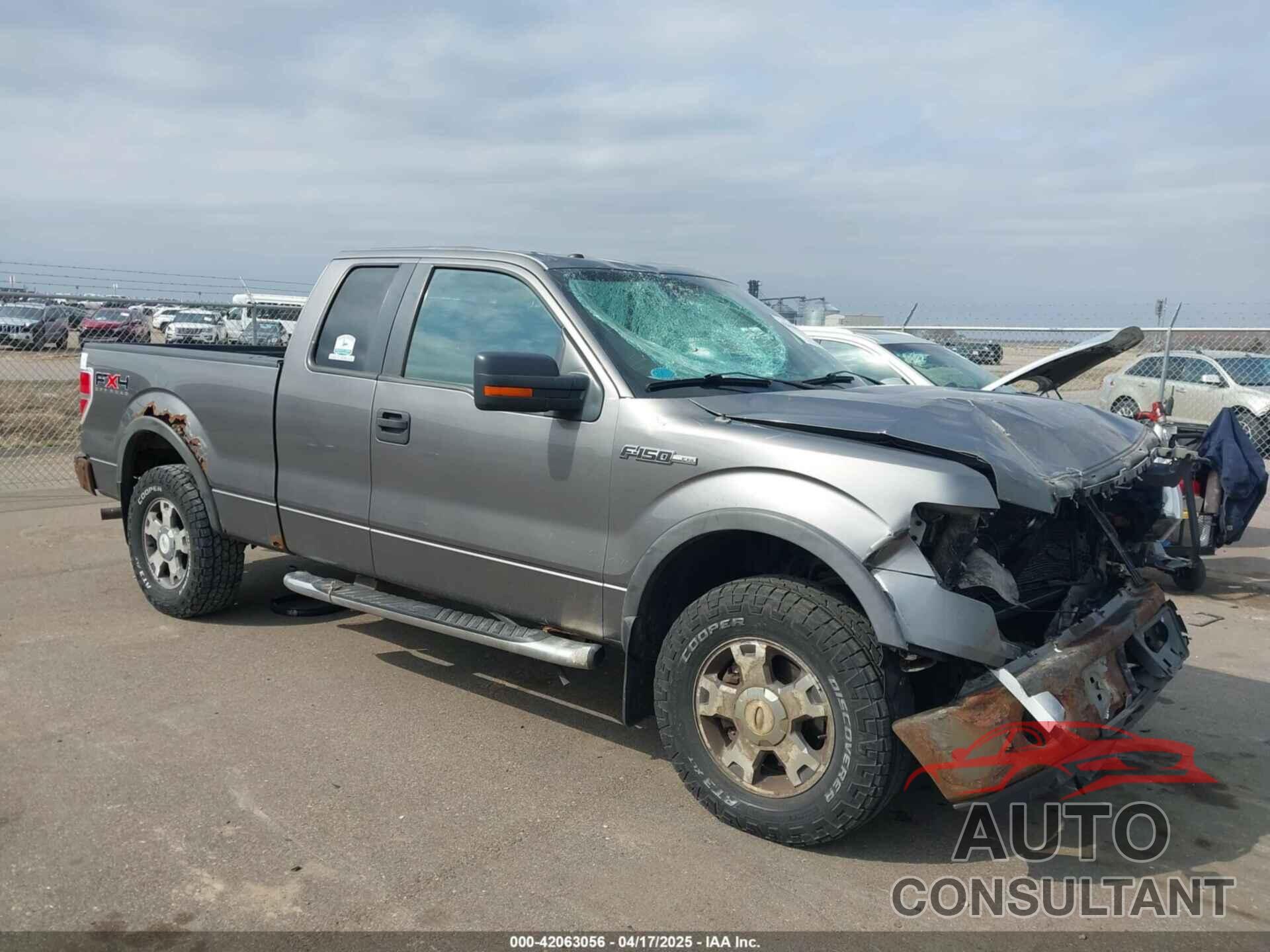 FORD F-150 2010 - 1FTFX1EV7AFB48046