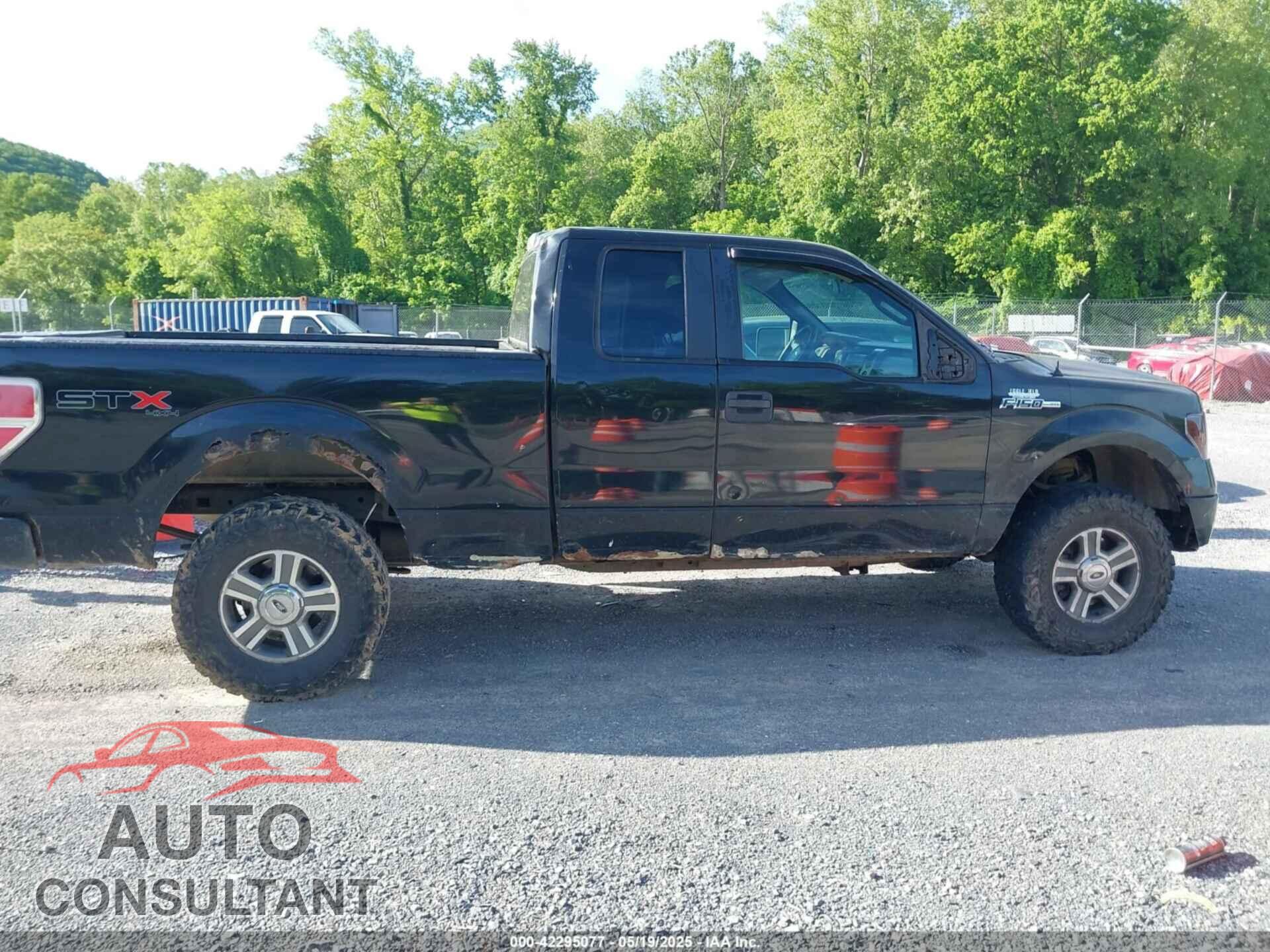 FORD F-150 2010 - 1FTEX1EW2AFA18163