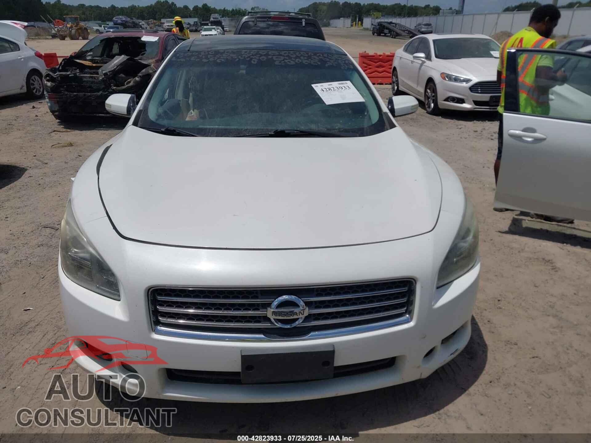 NISSAN MAXIMA 2010 - 1N4AA5AP1AC809409