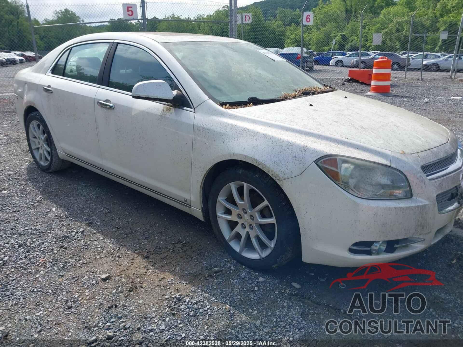 CHEVROLET MALIBU 2010 - 1G1ZE5E71AF101003