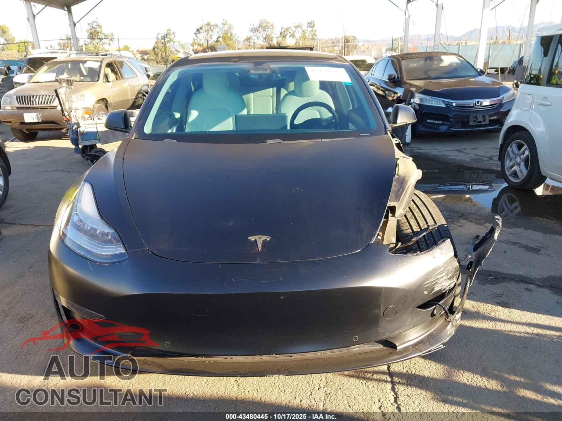 TESLA MODEL 3 2021 - 5YJ3E1EC7MF856345