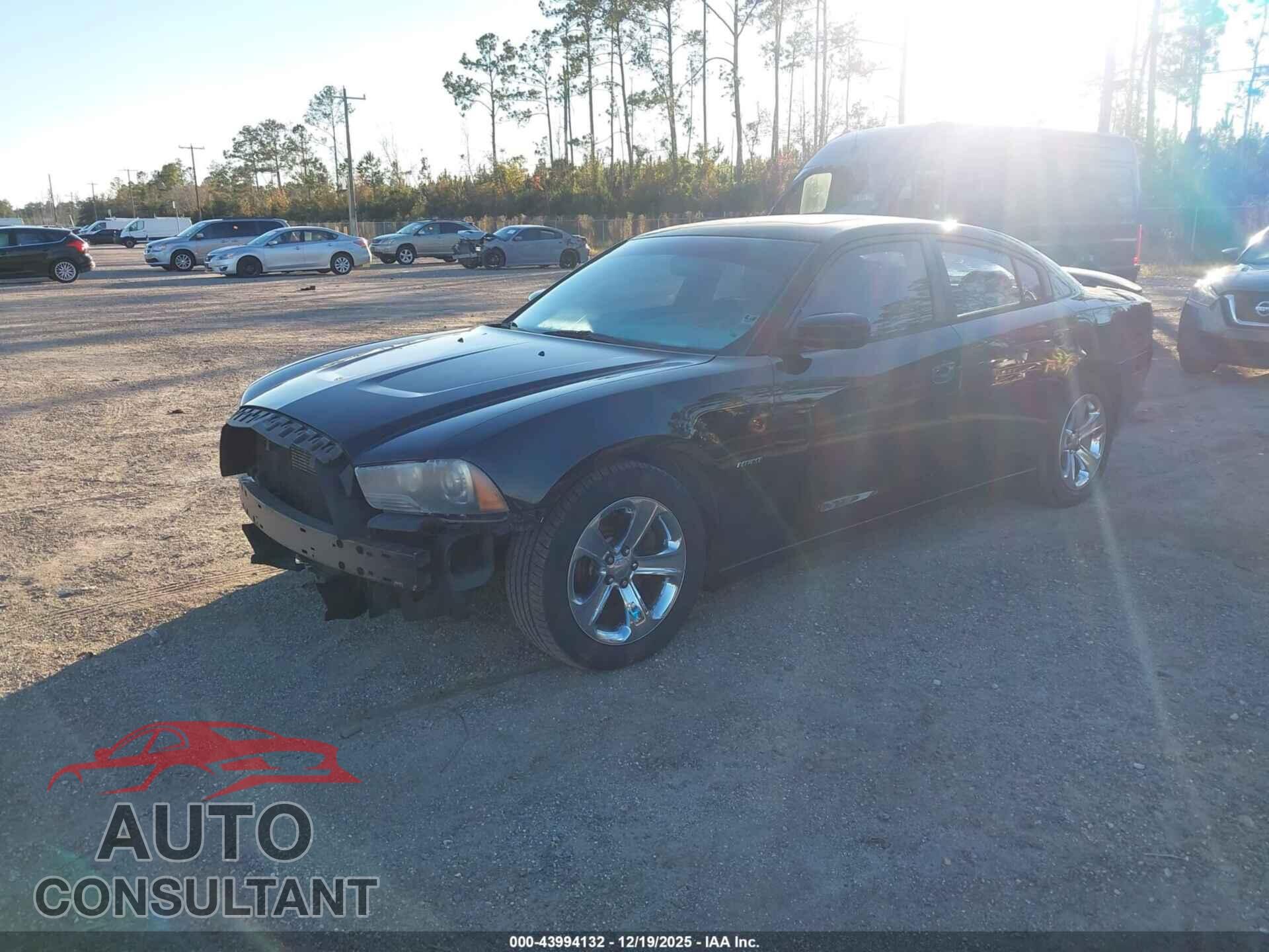 DODGE CHARGER 2013 - 2C3CDXCT9DH601848