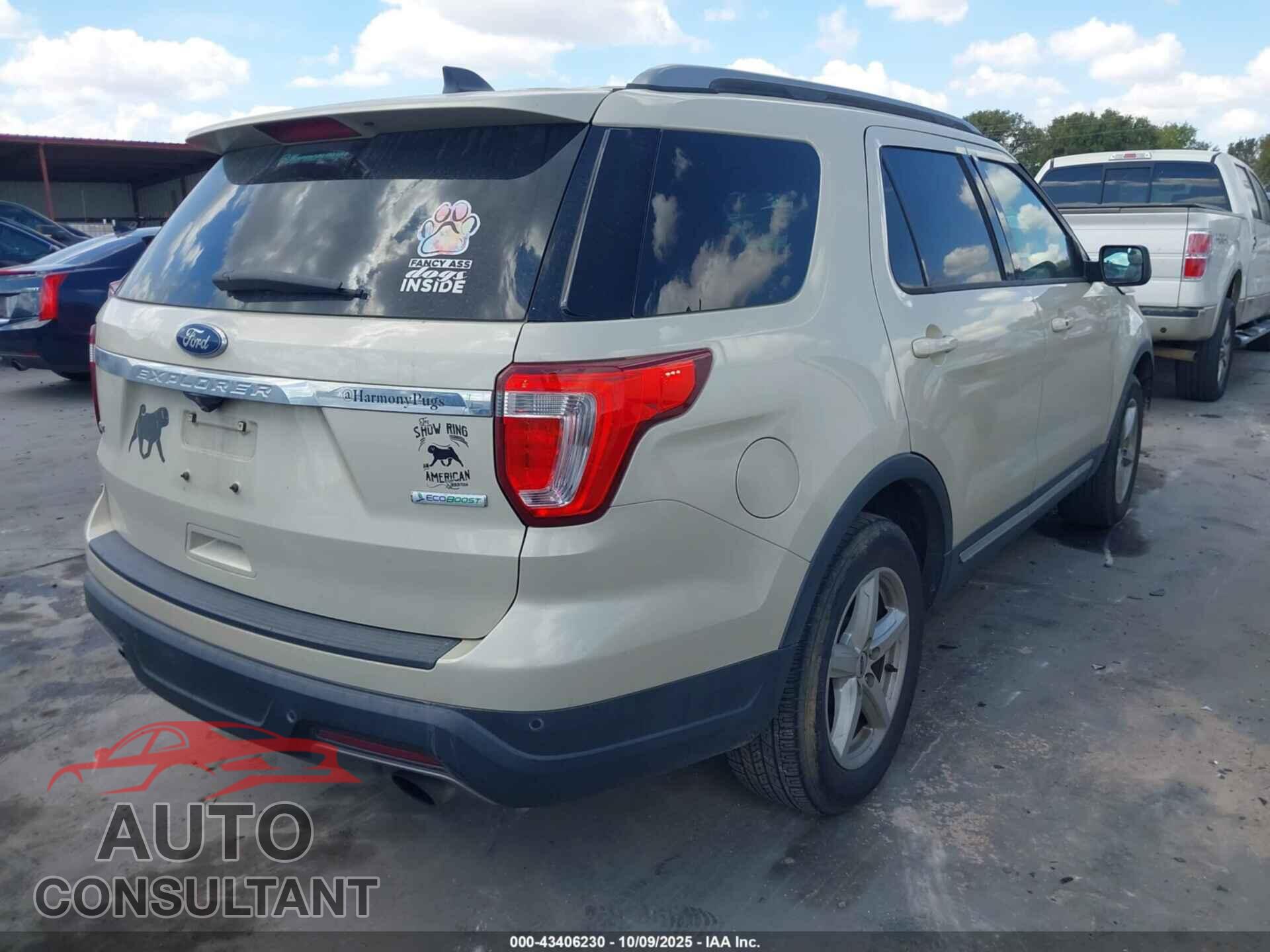 FORD EXPLORER 2018 - 1FM5K7DH0JGB32124