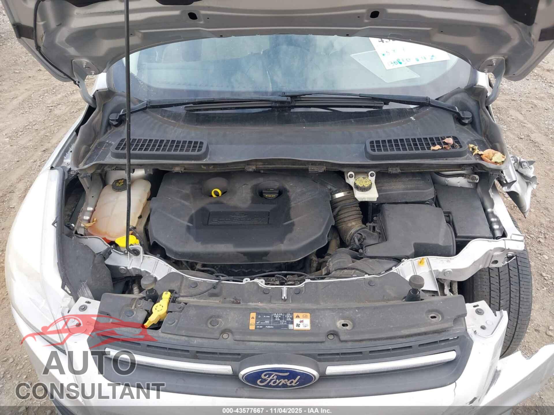 FORD ESCAPE 2014 - 1FMCU9G90EUC61229