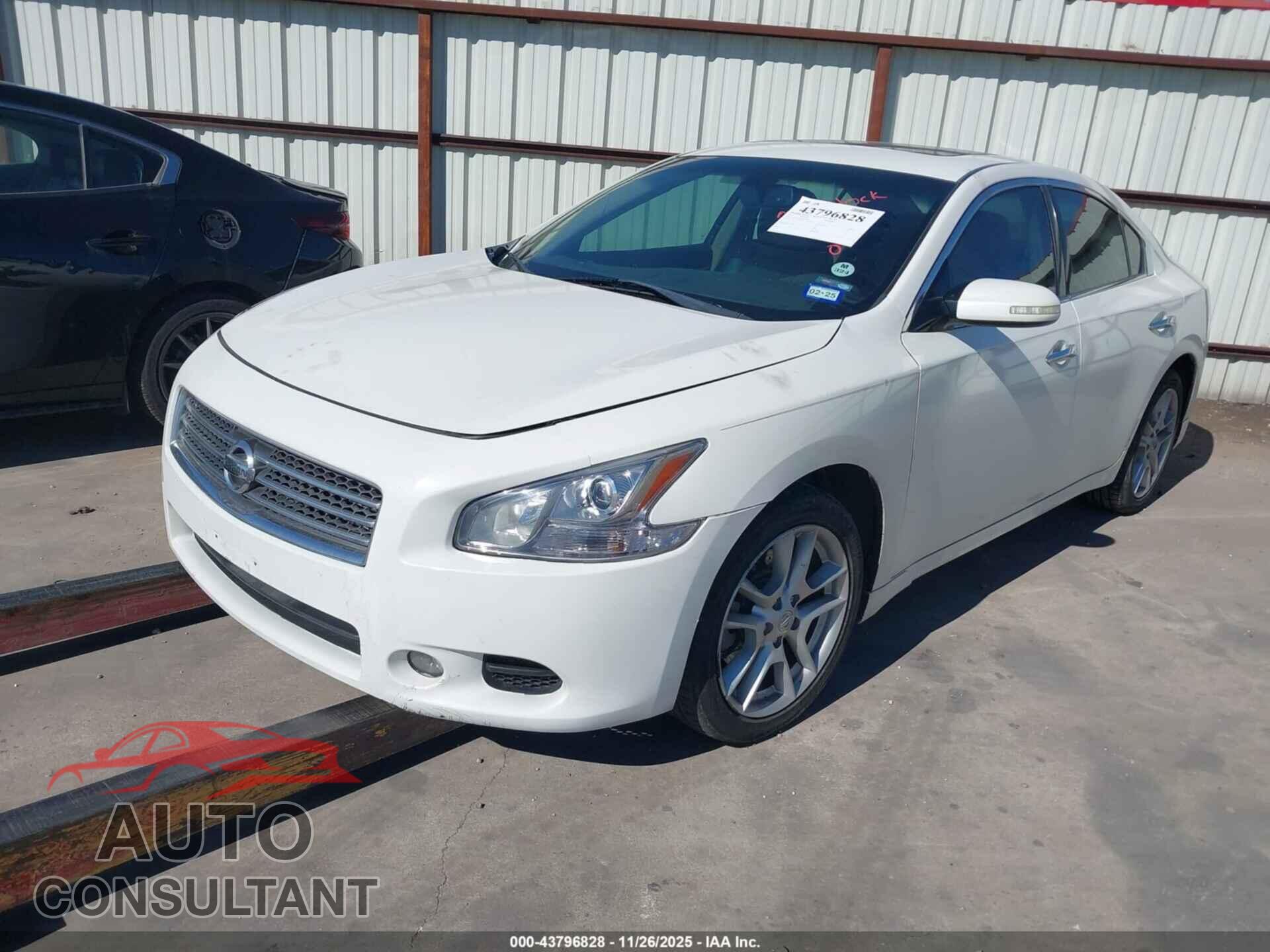 NISSAN MAXIMA 2011 - 1N4AA5AP1BC812800