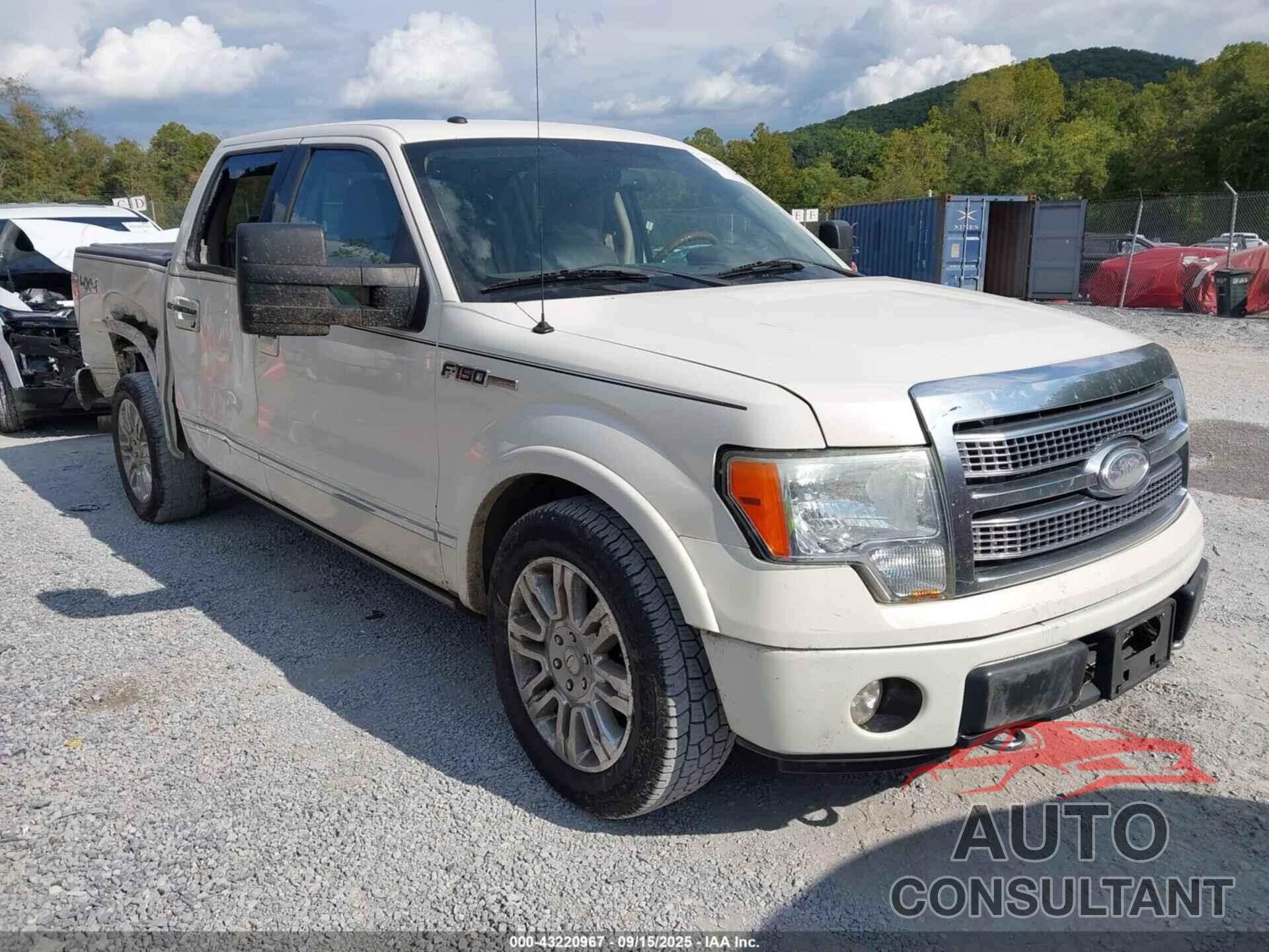 FORD F-150 2009 - 1FTPW14V69FA73554