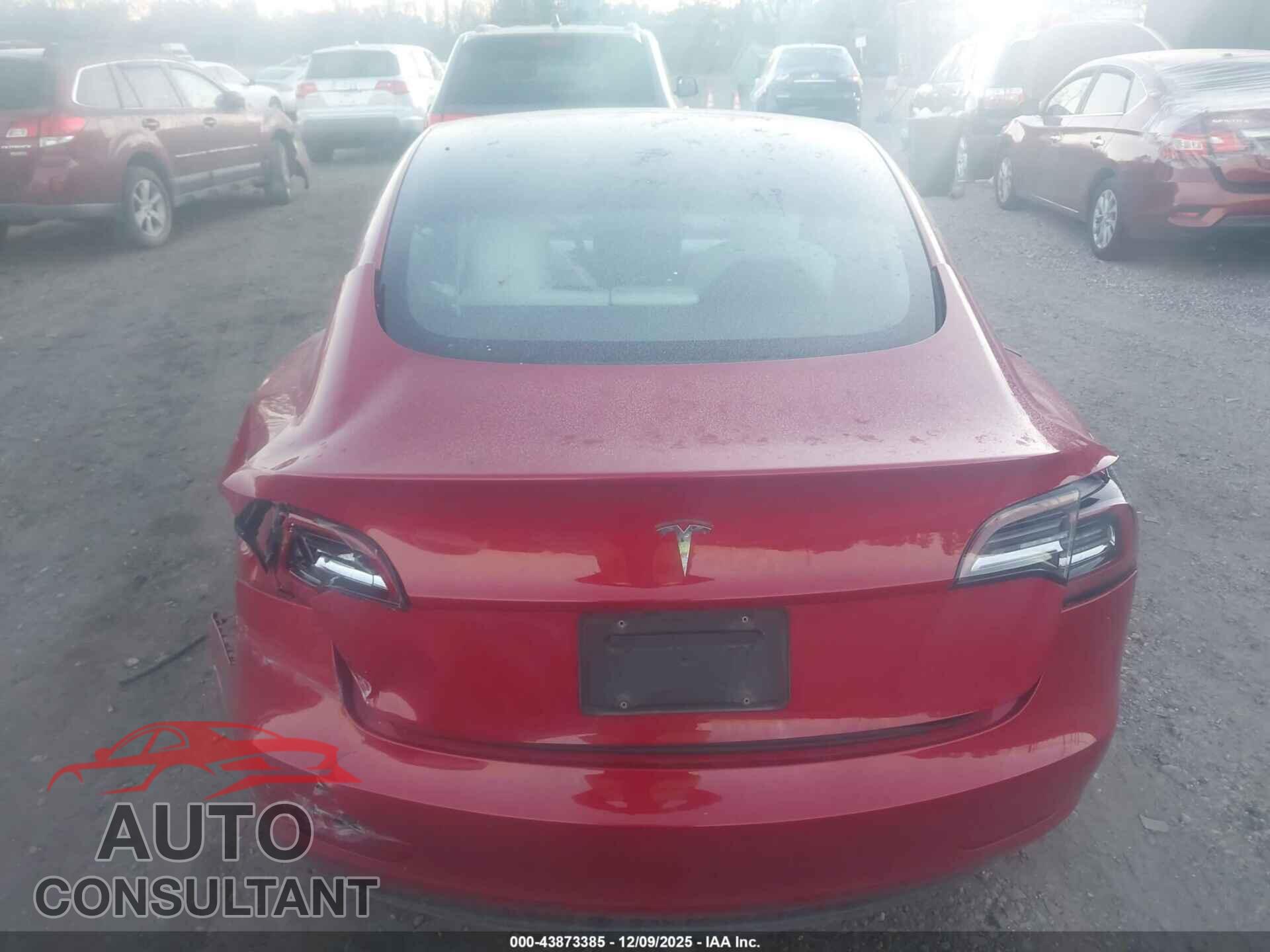 TESLA MODEL 3 2022 - 5YJ3E1EB3NF197866