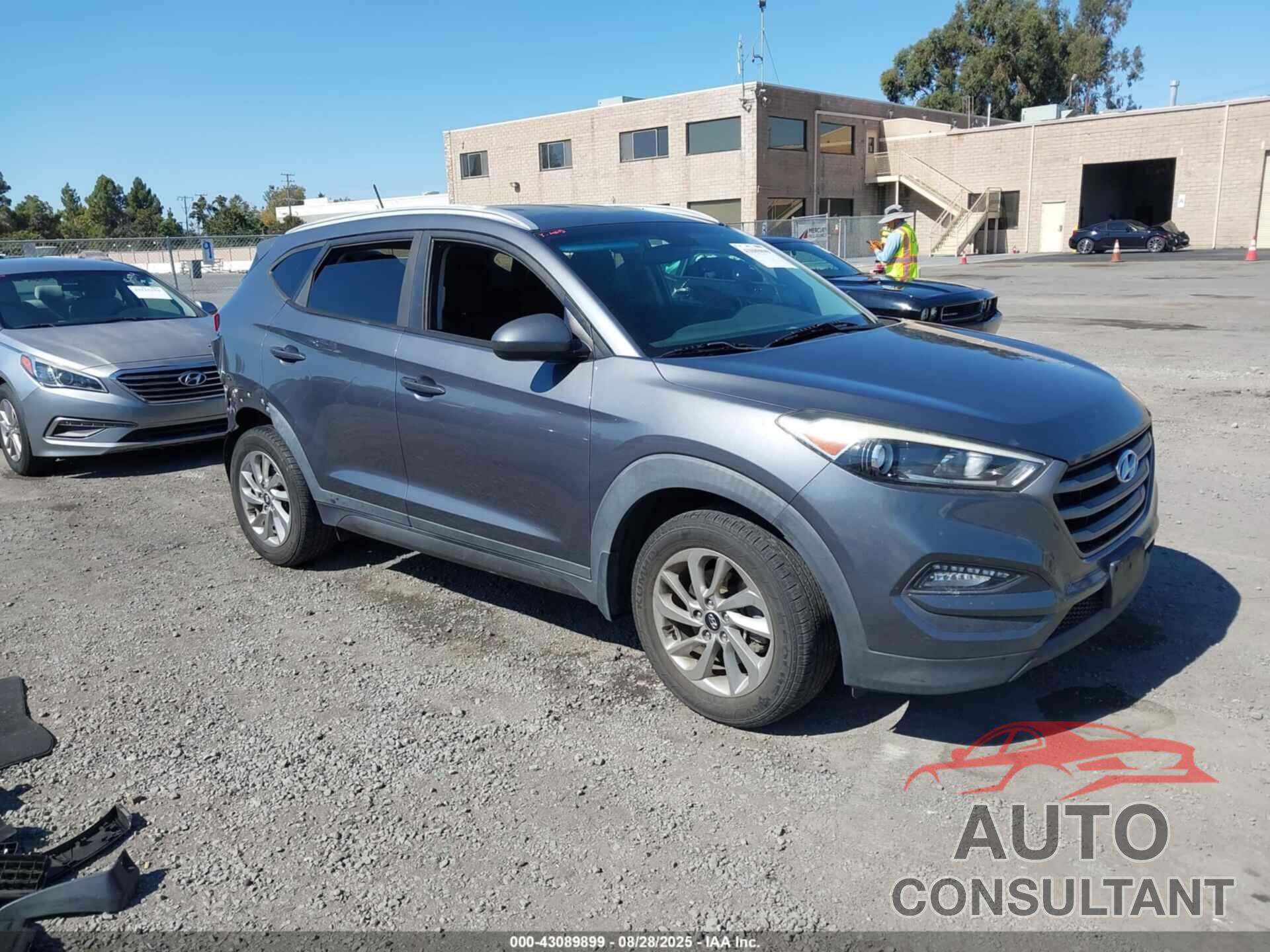 HYUNDAI TUCSON 2016 - KM8J3CA45GU054195