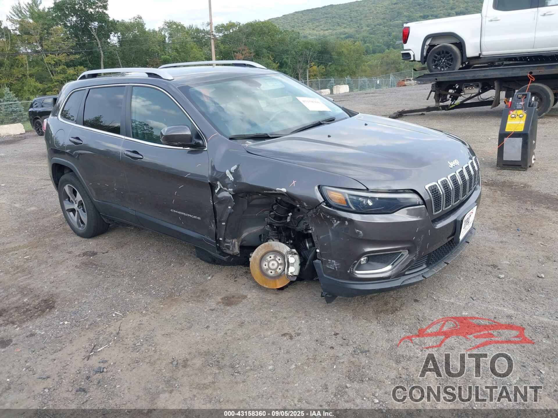 JEEP CHEROKEE 2019 - 1C4PJMDN9KD236201