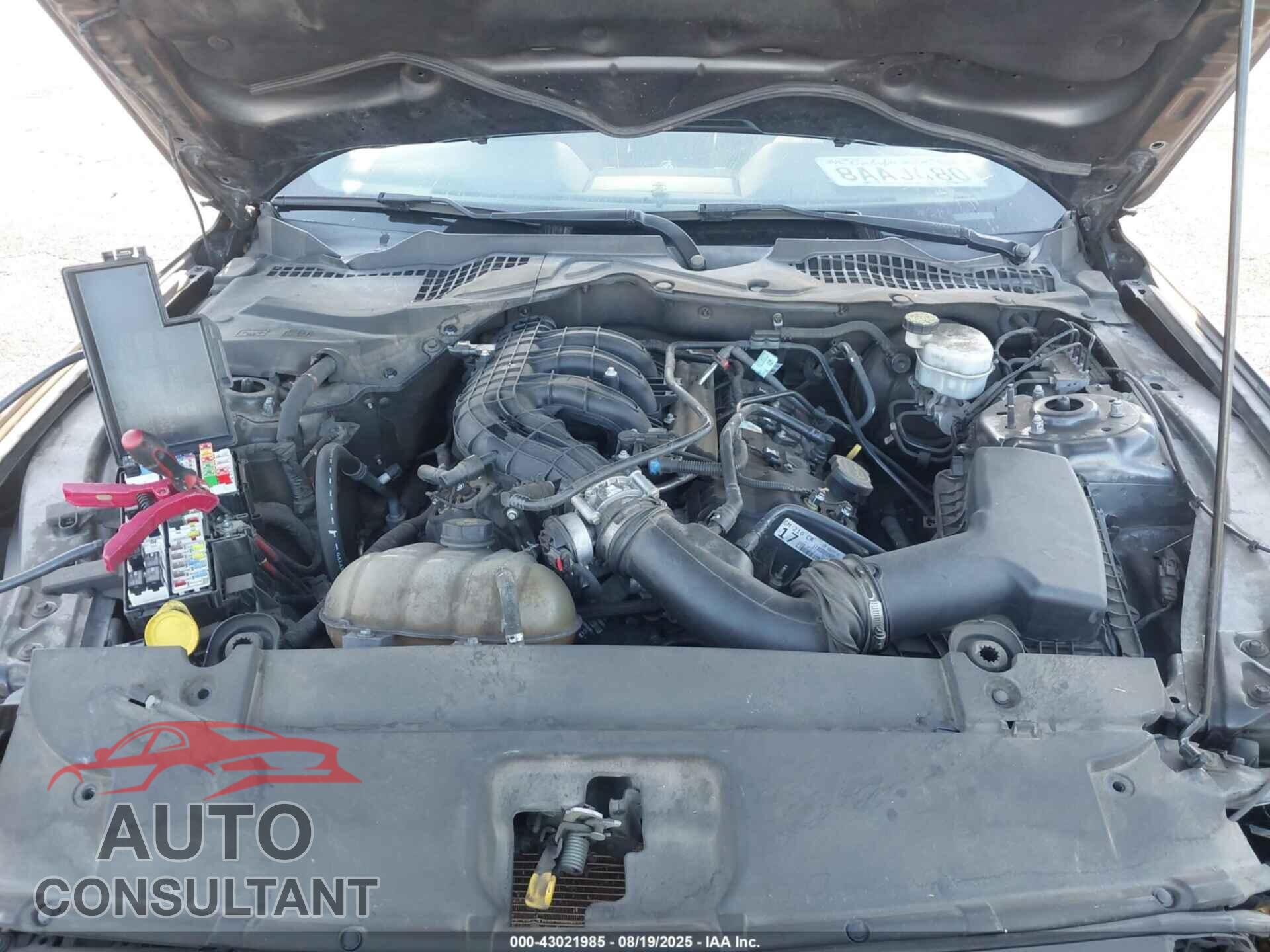 FORD MUSTANG 2017 - 1FA6P8AM4H5266535