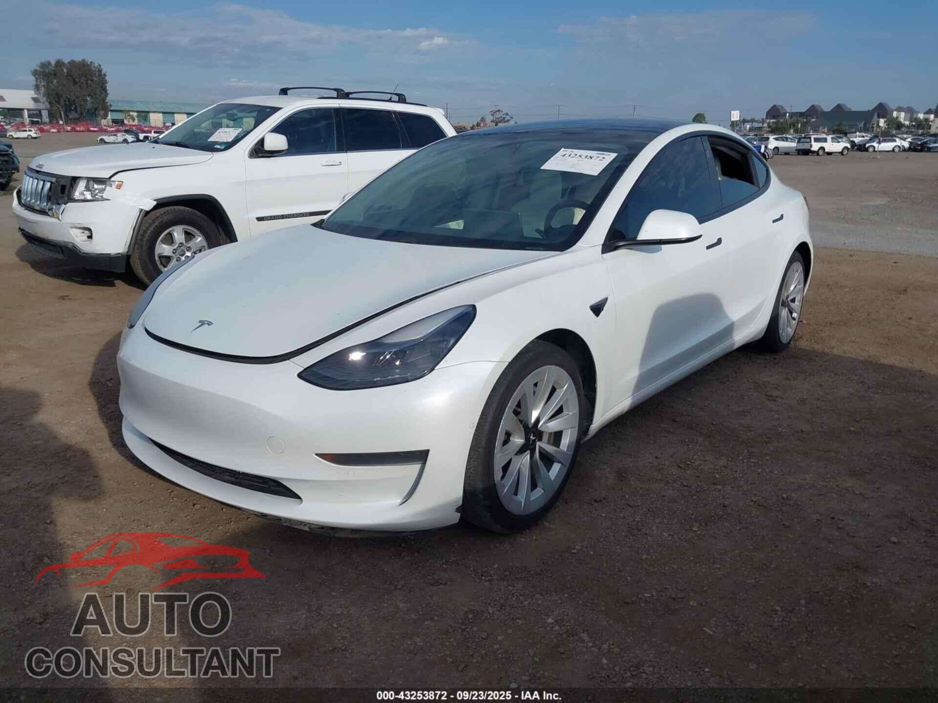 TESLA MODEL 3 2021 - 5YJ3E1EA7MF879252