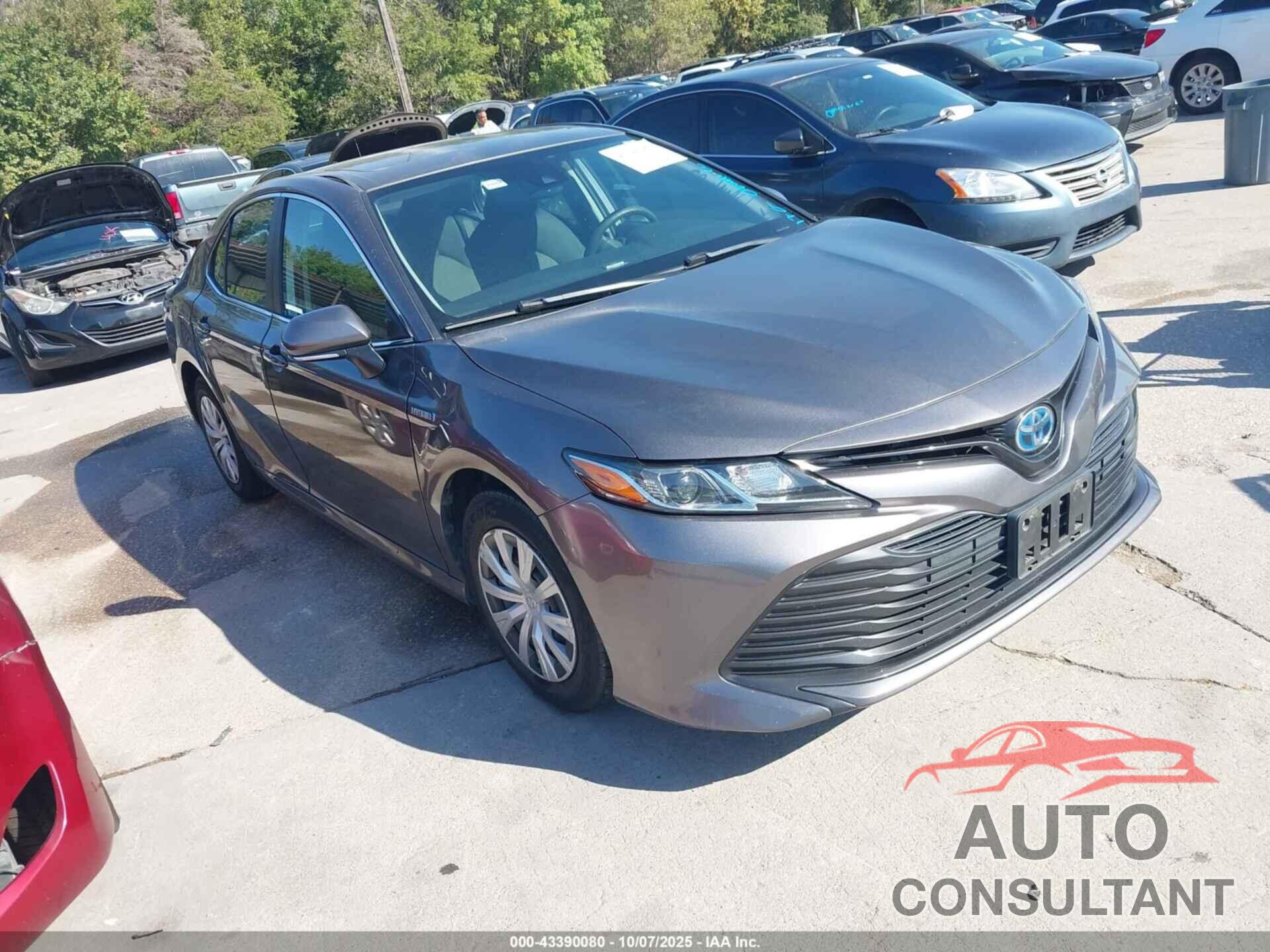 TOYOTA CAMRY HYBRID 2019 - 4T1B31HK9KU510852