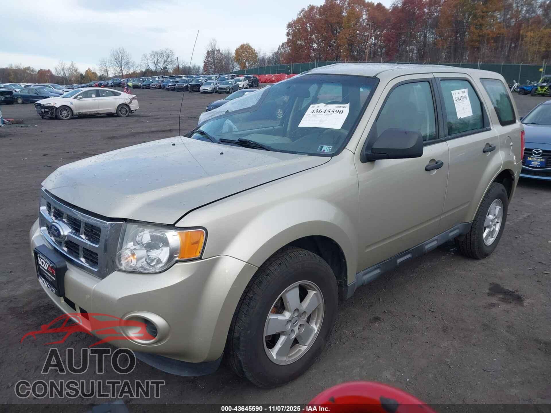 FORD ESCAPE 2010 - 1FMCU9C7XAKB40430