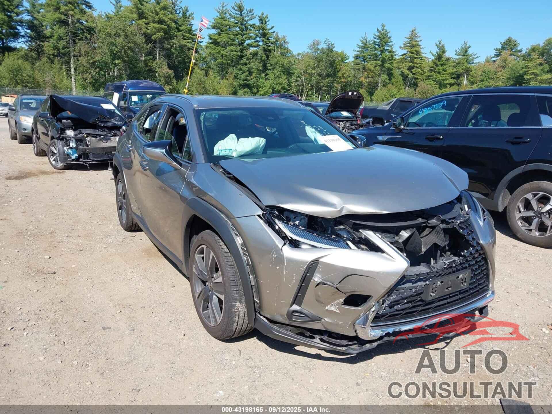 LEXUS UX 250H 2022 - JTHX9JBH4N2055882