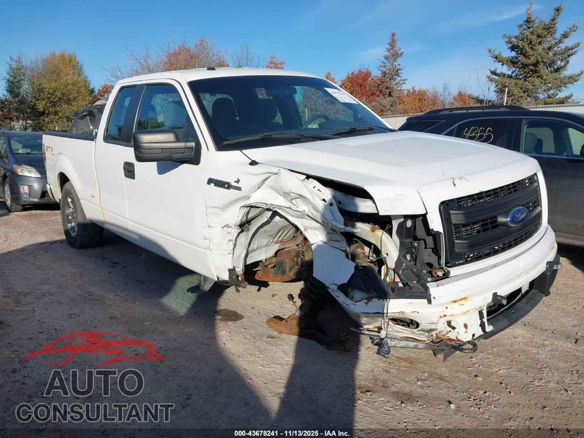 FORD F-150 2013 - 1FTFX1EF7DFB18865
