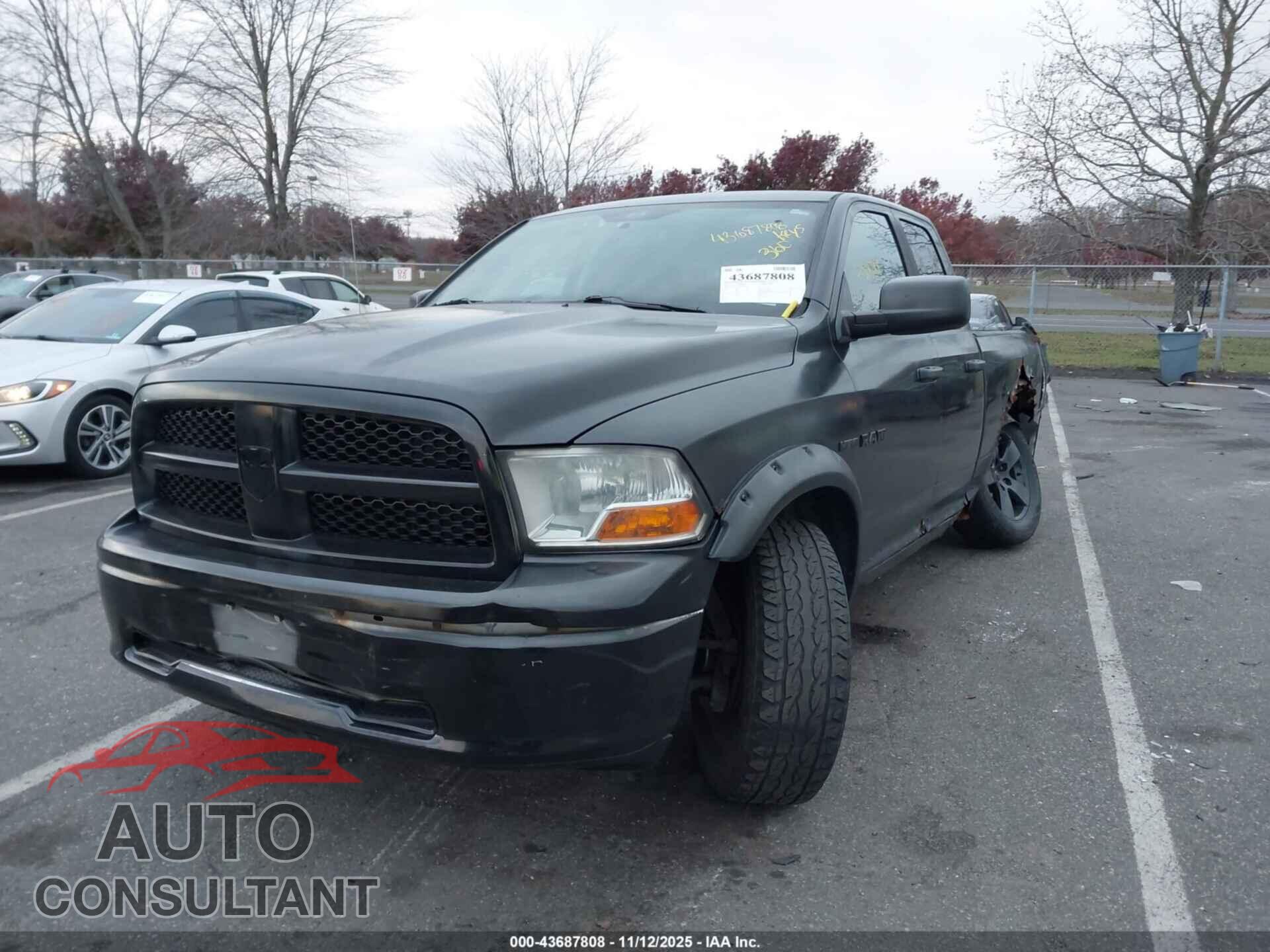 DODGE RAM 1500 2010 - 1D7RV1GT2AS102359