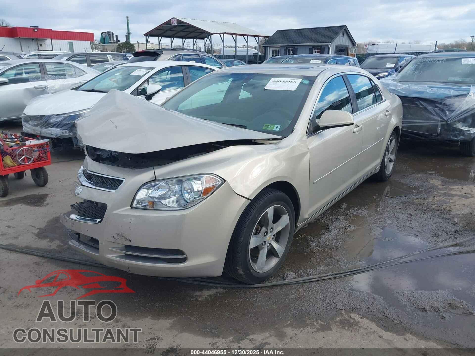 CHEVROLET MALIBU 2011 - 1G1ZC5E16BF217543