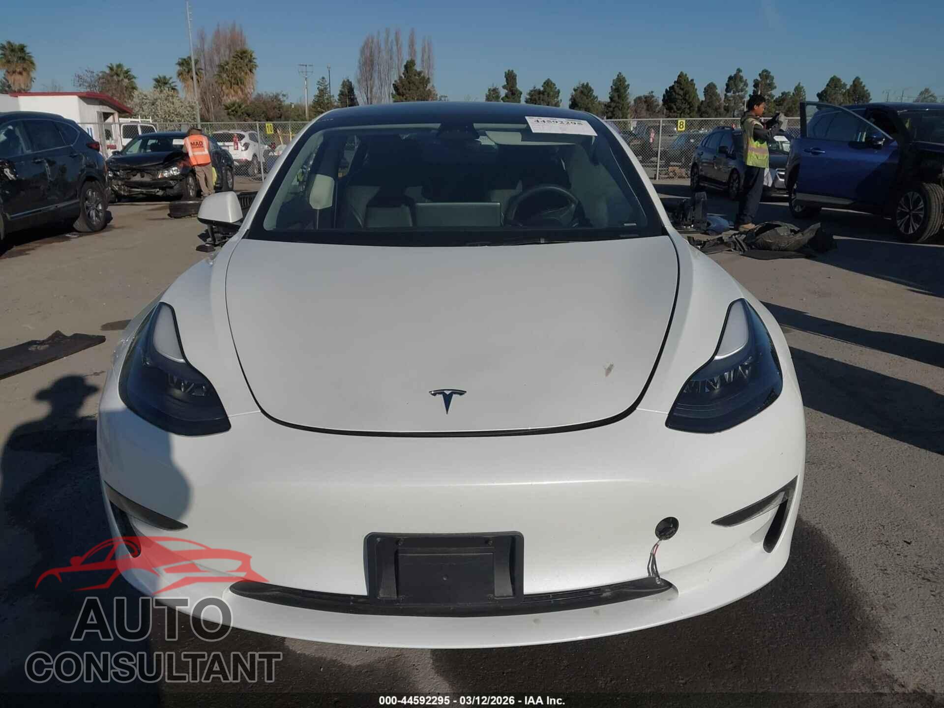 TESLA MODEL 3 2023 - 5YJ3E1EA5PF555799