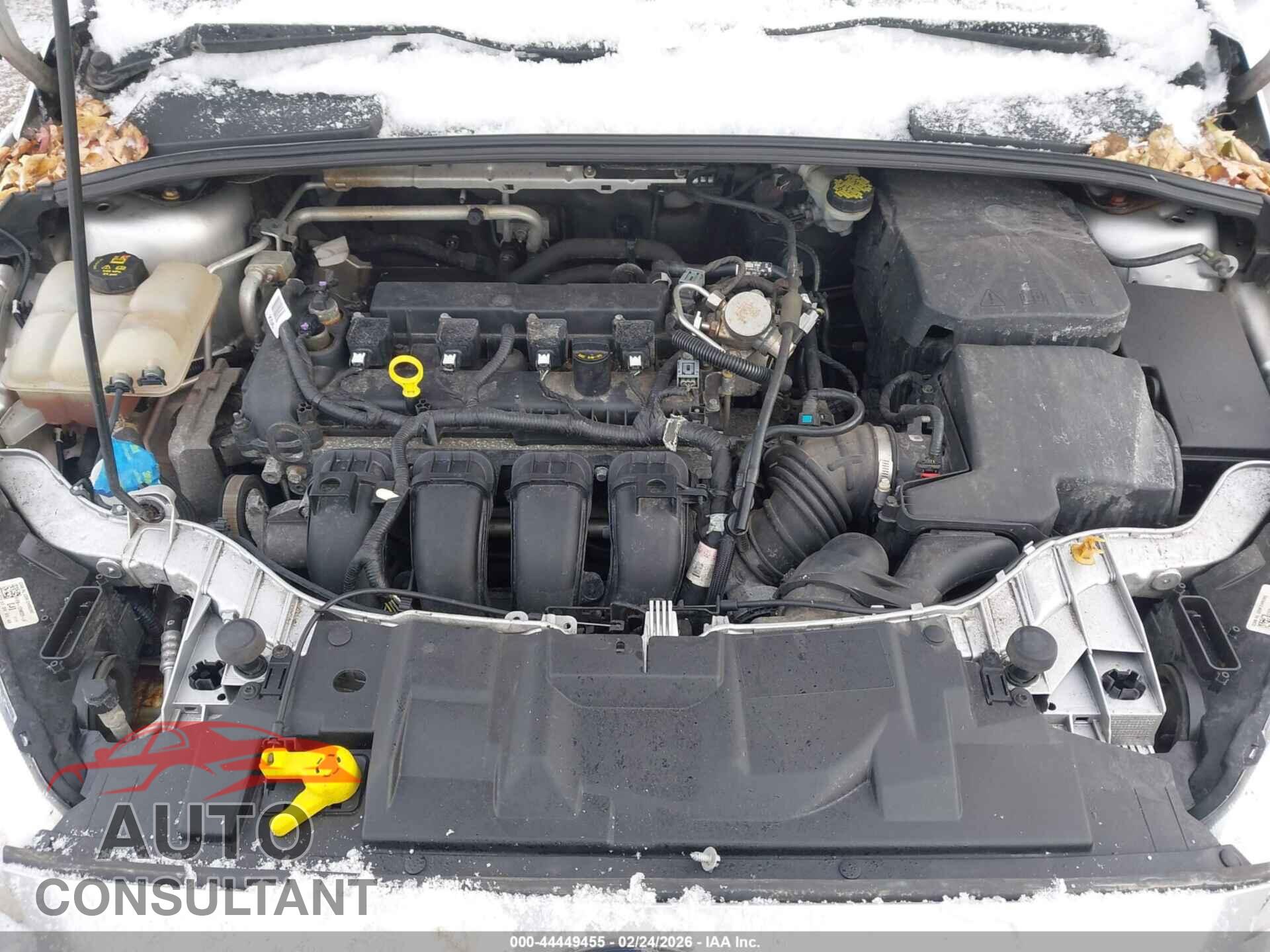 FORD FOCUS 2016 - 1FADP3F23GL377797