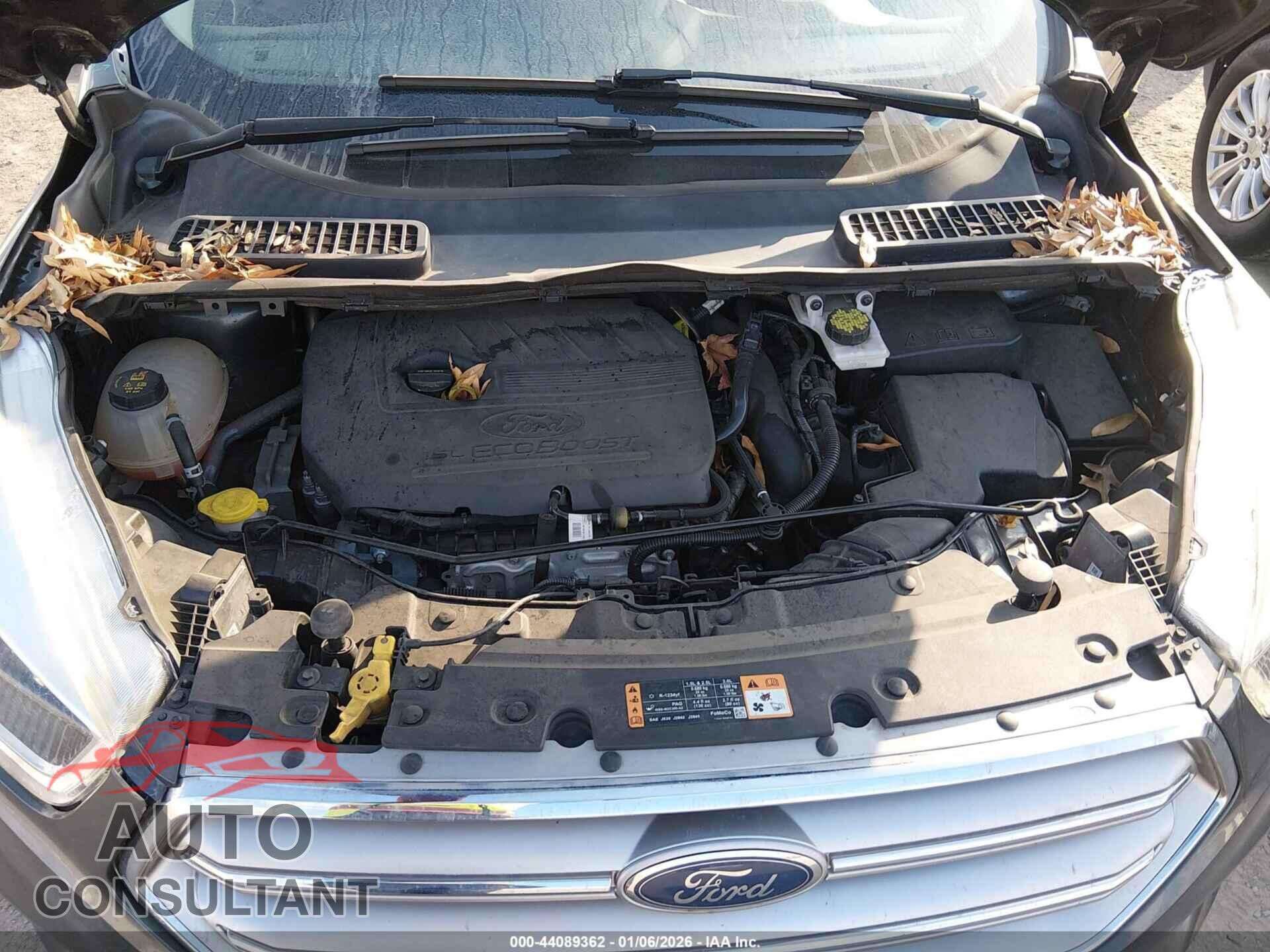 FORD ESCAPE 2017 - 1FMCU0GD2HUB98705