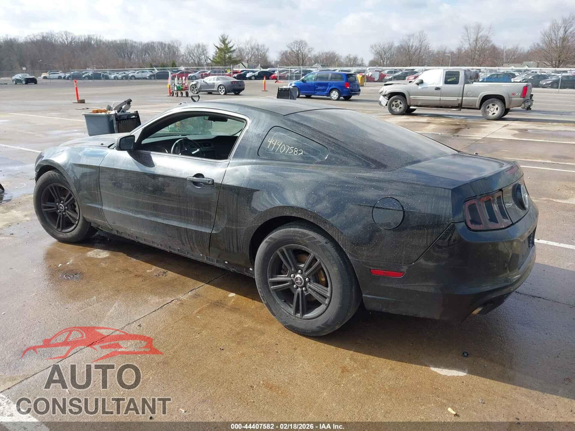 FORD MUSTANG 2014 - 1ZVBP8AM7E5299269