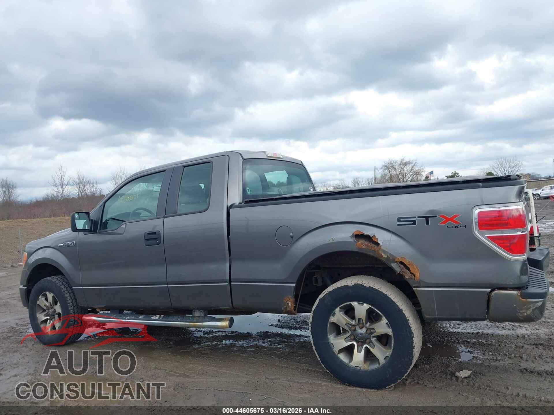 FORD F-150 2013 - 1FTFX1EF9DFB65606