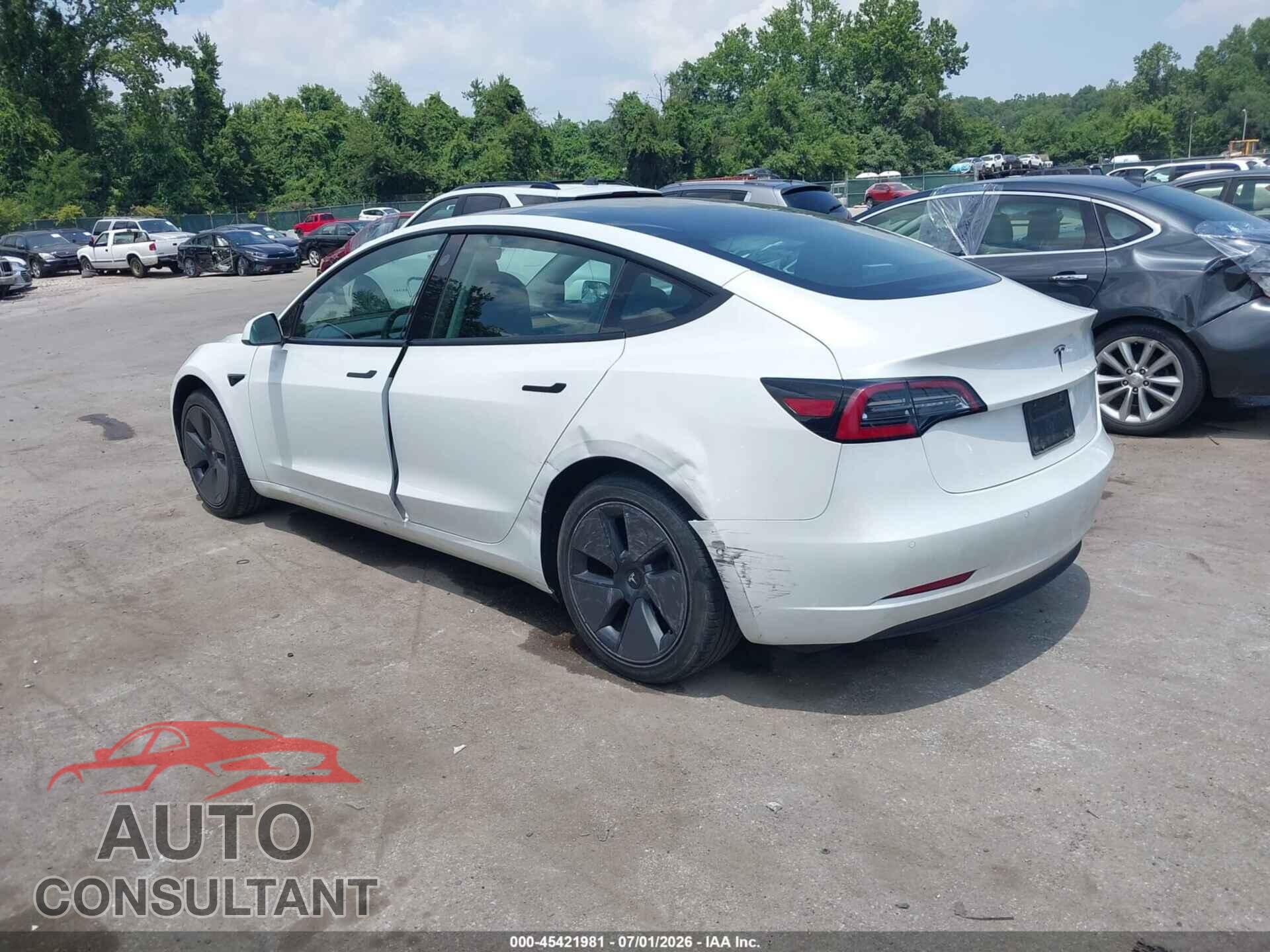 TESLA MODEL 3 2021 - 5YJ3E1EA5MF968995