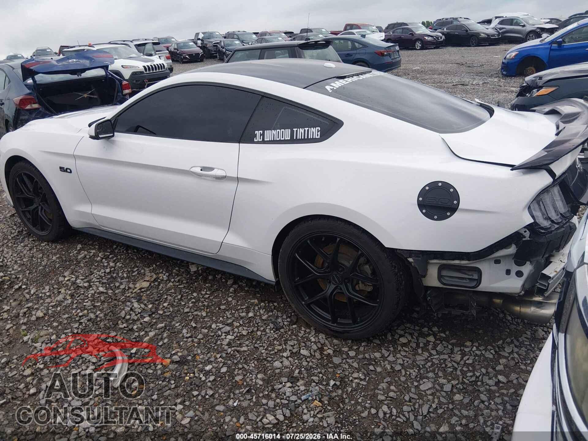 FORD MUSTANG 2019 - 1FA6P8CF5K5116780