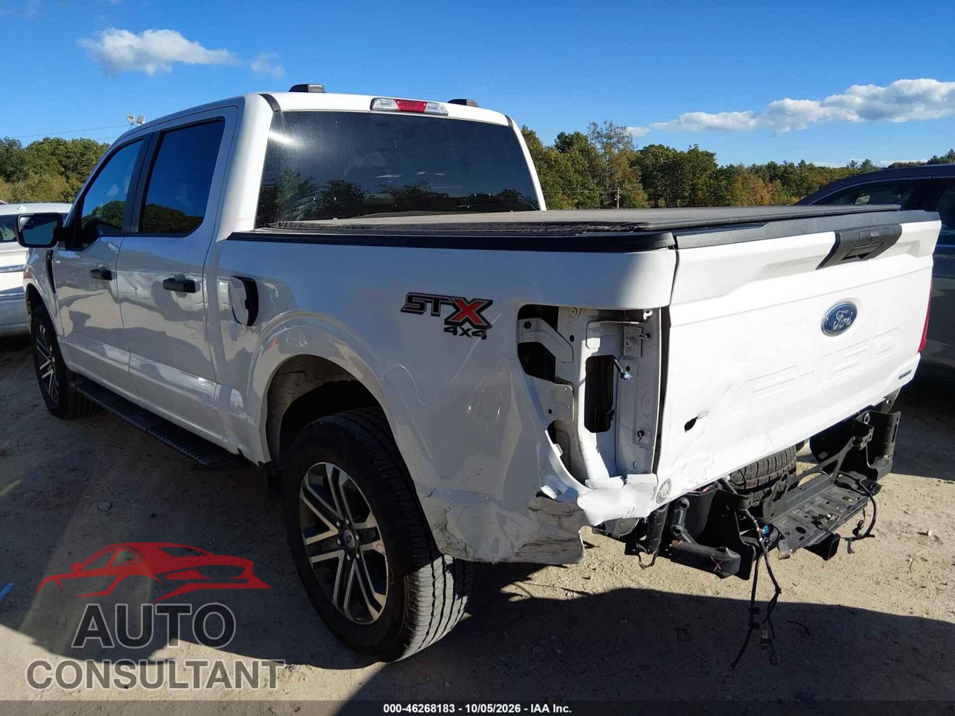 FORD F-150 2023 - 1FTEW1EP5PKG11754