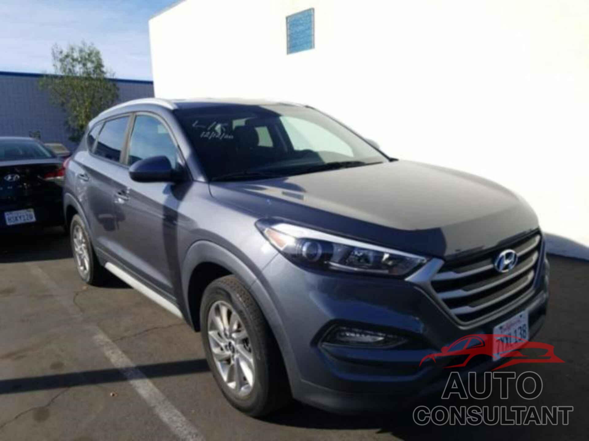 HYUNDAI TUCSON 2017 - KM8J33A44HU487167