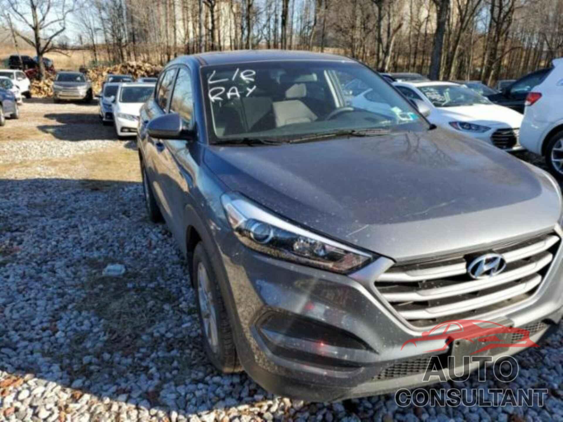 HYUNDAI TUCSON 2018 - KM8J2CA43JU646964