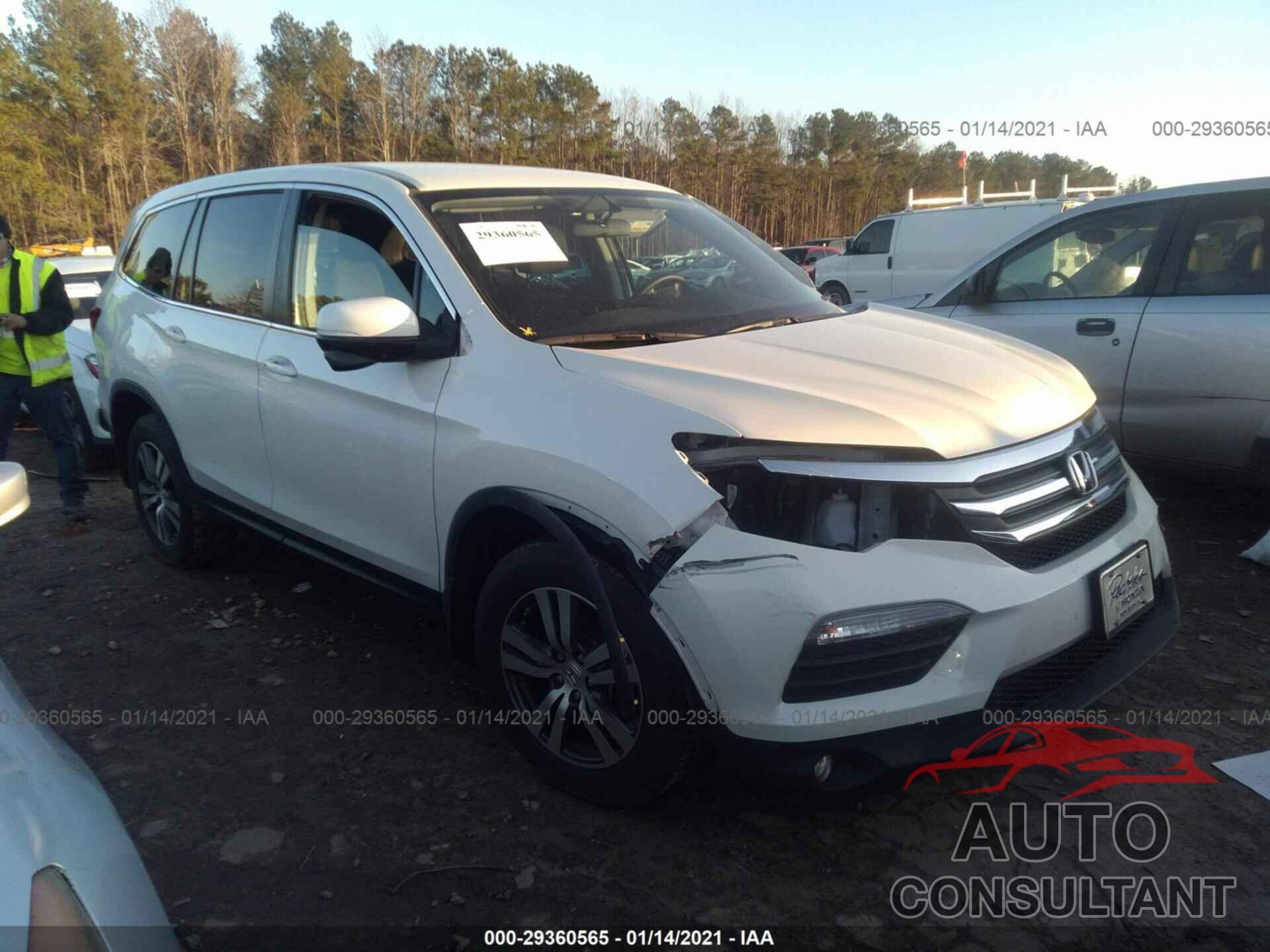 HONDA PILOT 2017 - 5FNYF5H37HB030509